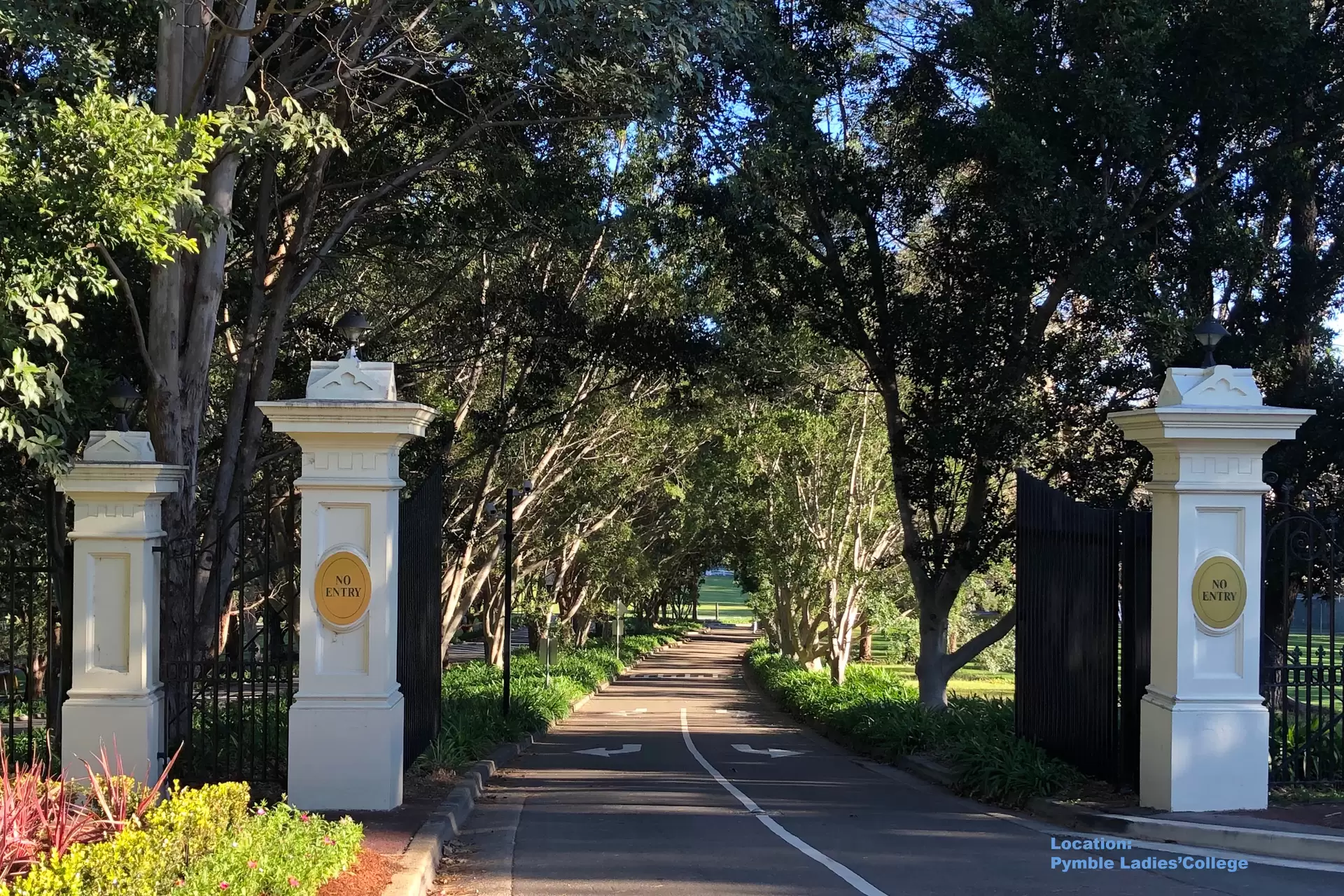 A808/1 Avon Road, Pymble For Sale by The Marshall Group - image 15