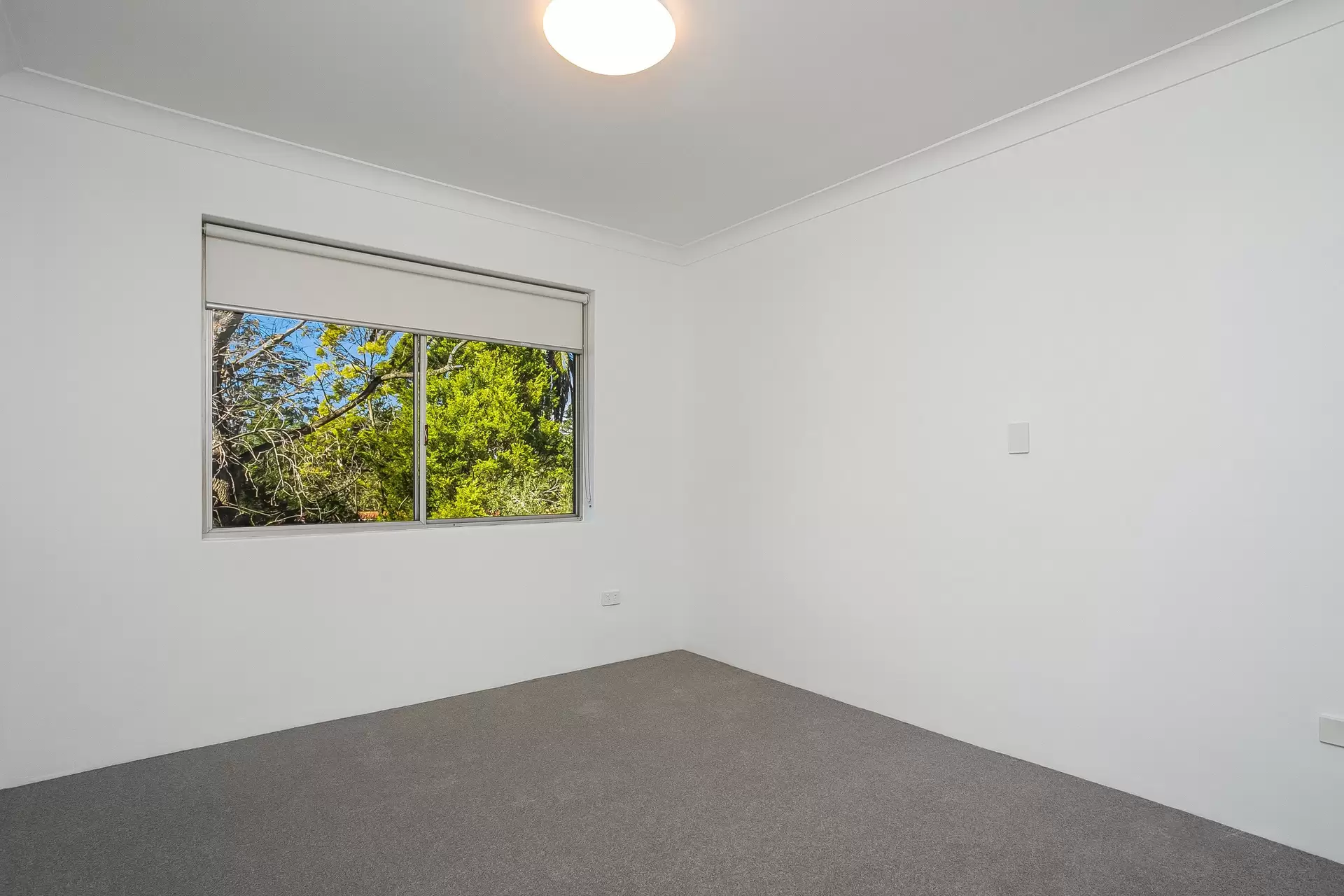 15/16 Treatts Road, Lindfield Leased by The Marshall Group - image 7
