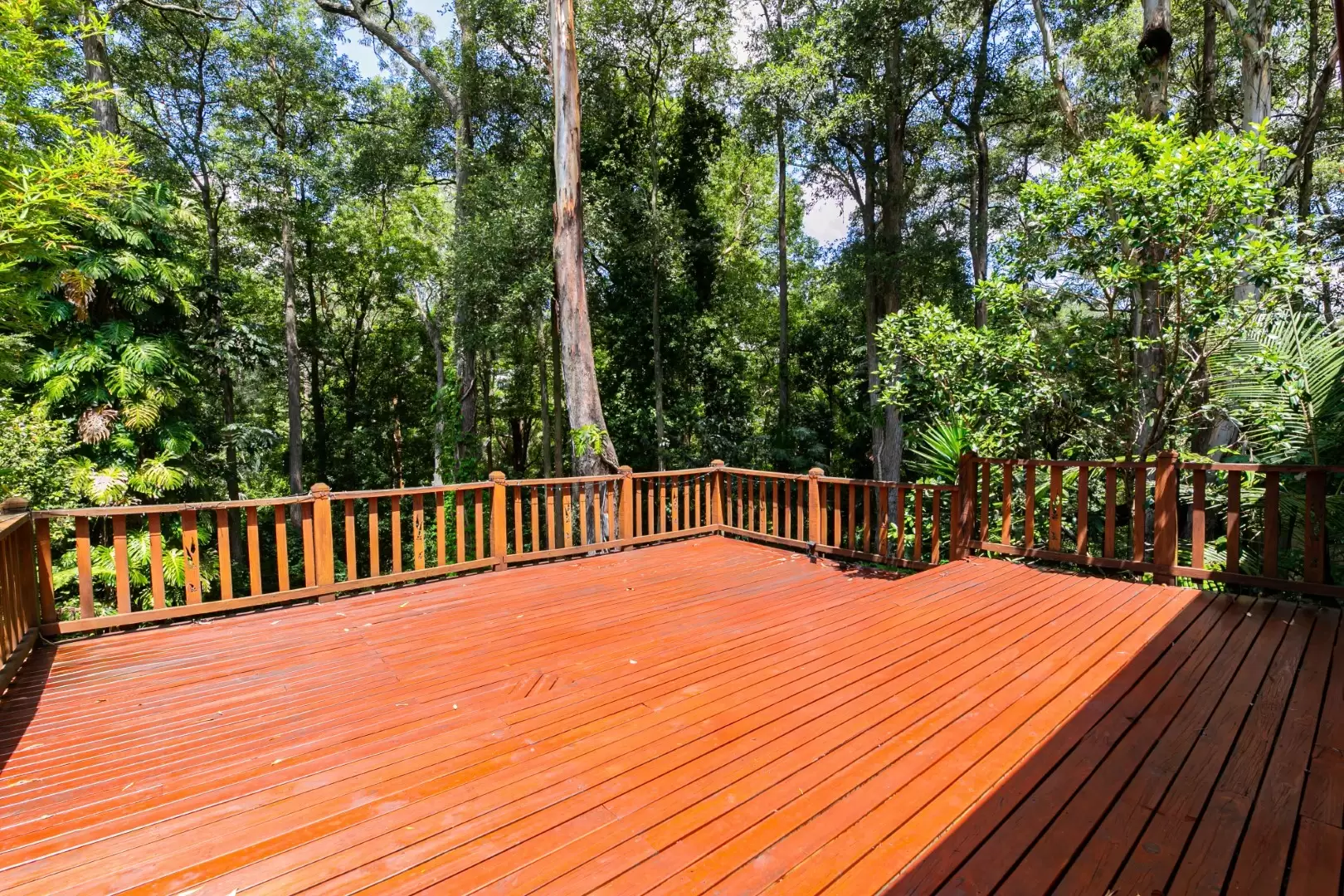 101 Hewitt Avenue, Wahroonga Leased by The Marshall Group - image 4