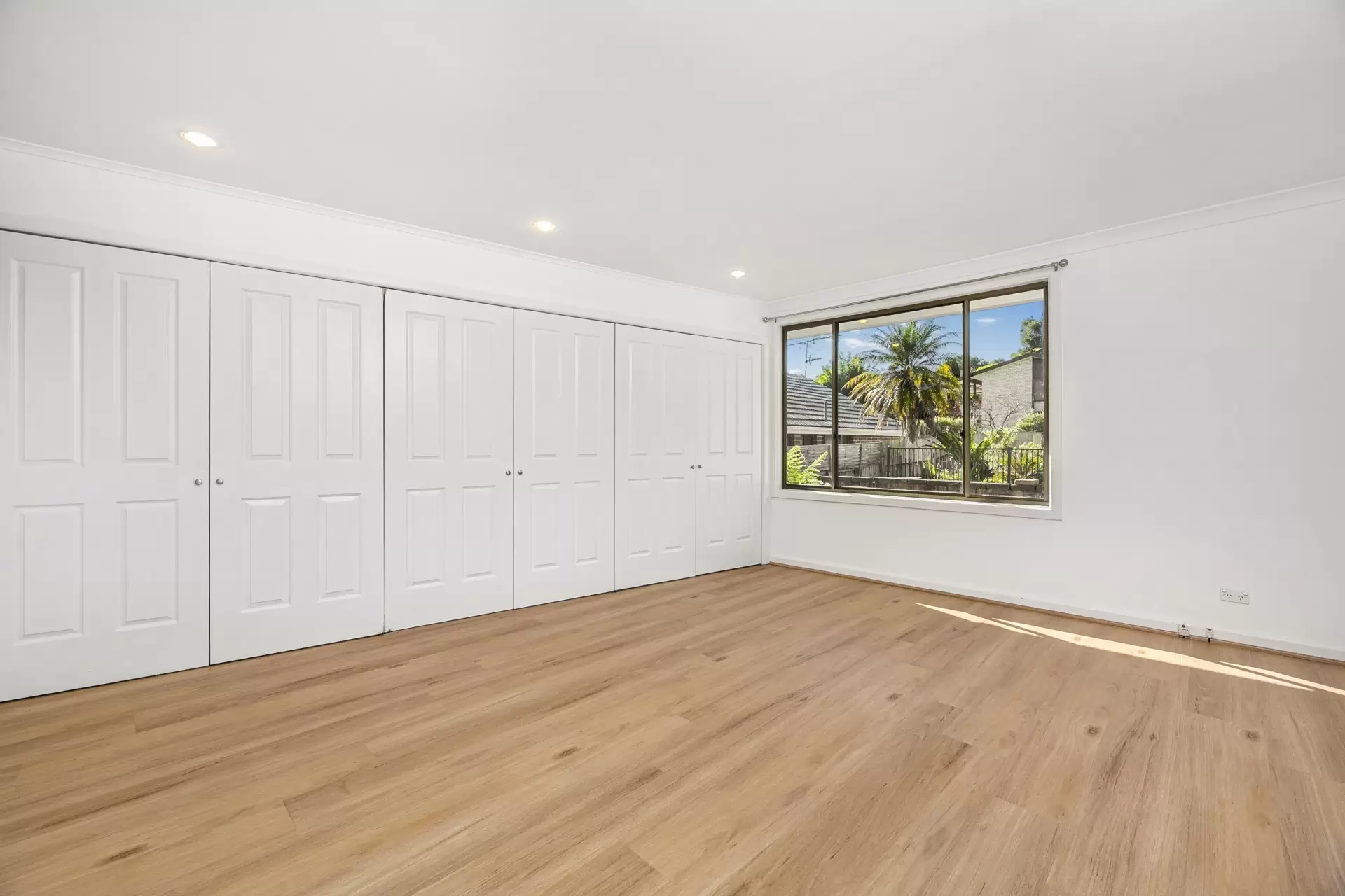 3 Edinburgh Road, Forestville Leased by The Marshall Group - image 4