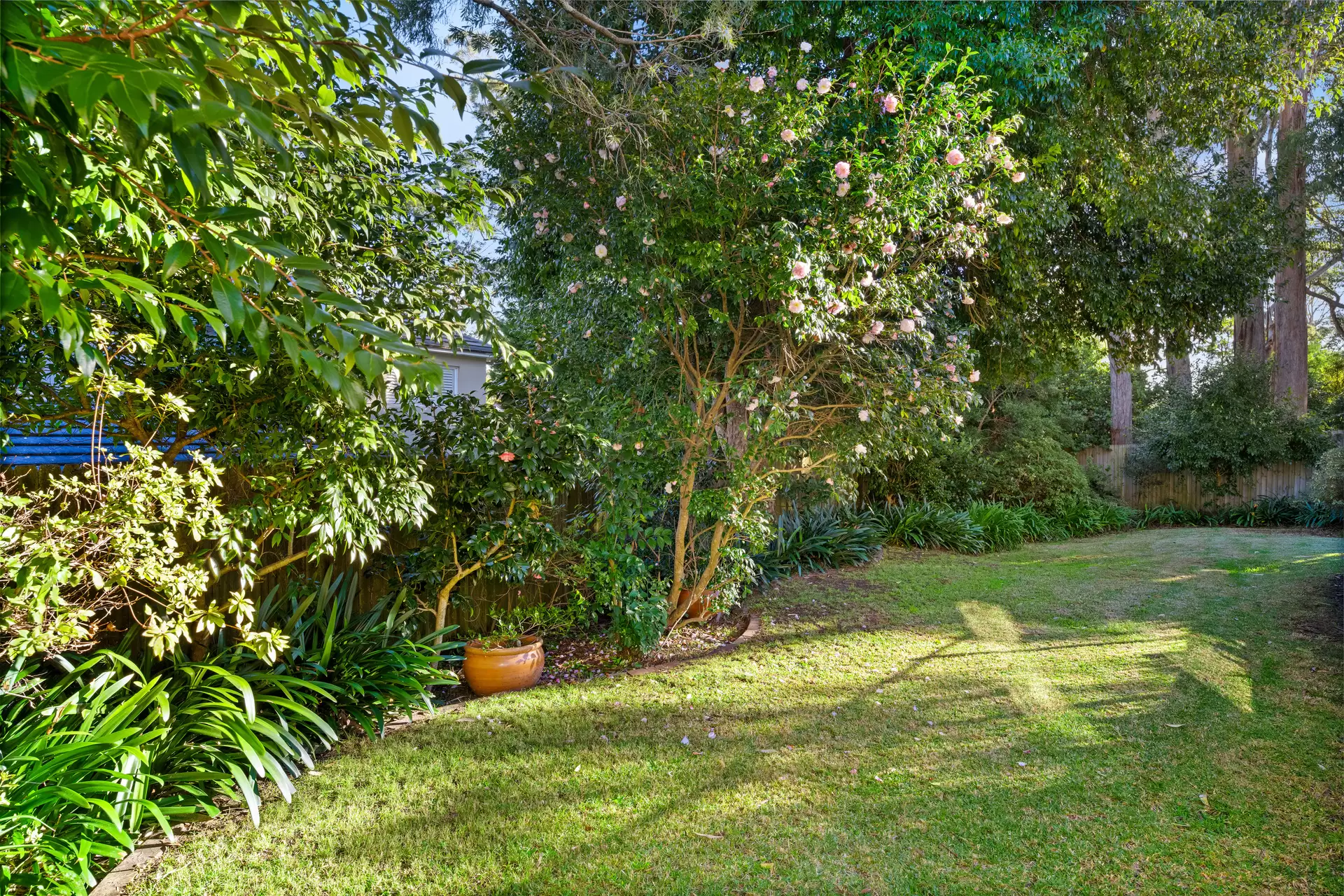 22 Glendale Road, Turramurra Auction by The Marshall Group - image 13