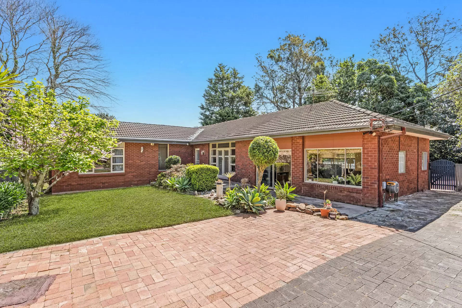 31 Jubilee Street, Wahroonga Sold by The Marshall Group - image 6