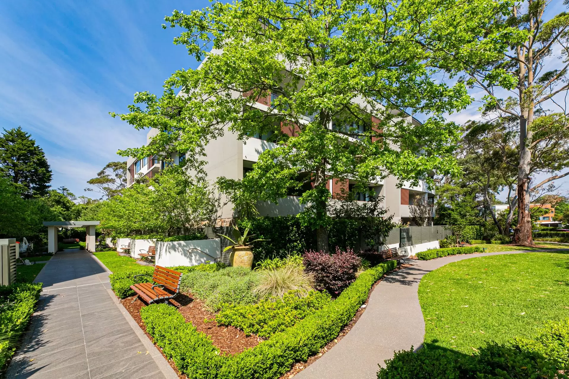 102/126 Killeaton Street, St Ives Leased by The Marshall Group - image 1