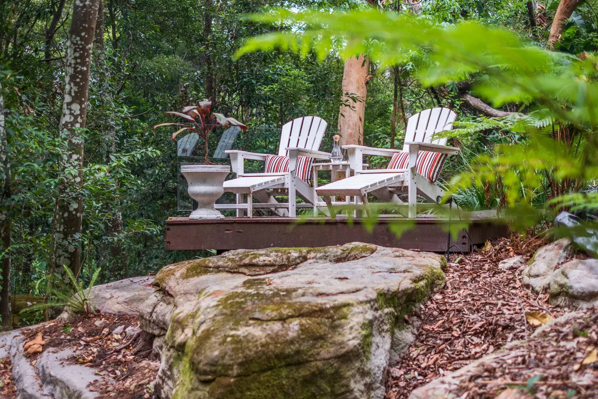 26 Polding Road, Lindfield Sold by The Marshall Group - image 23