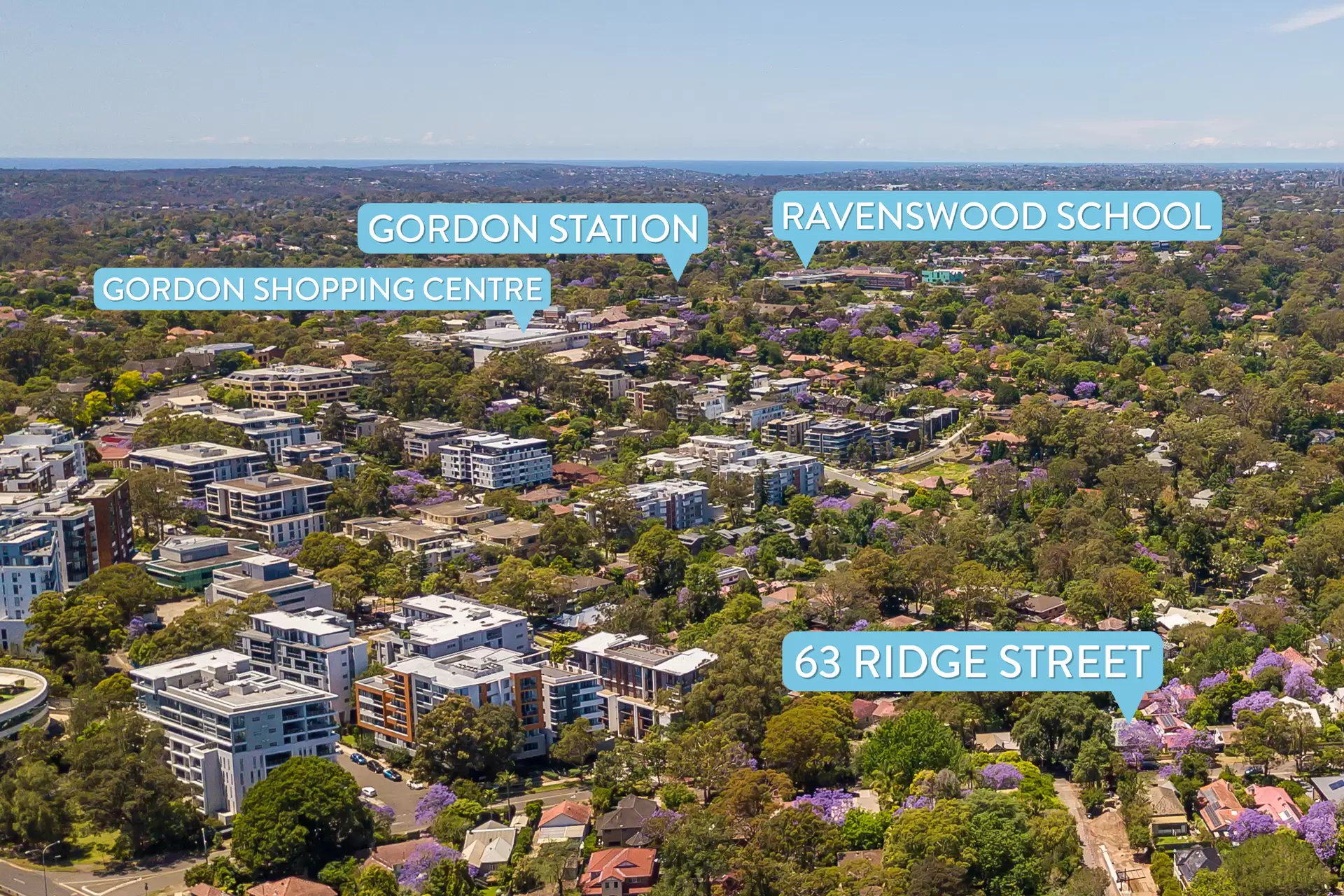 63 Ridge Street, Gordon Sold by The Marshall Group - image 14