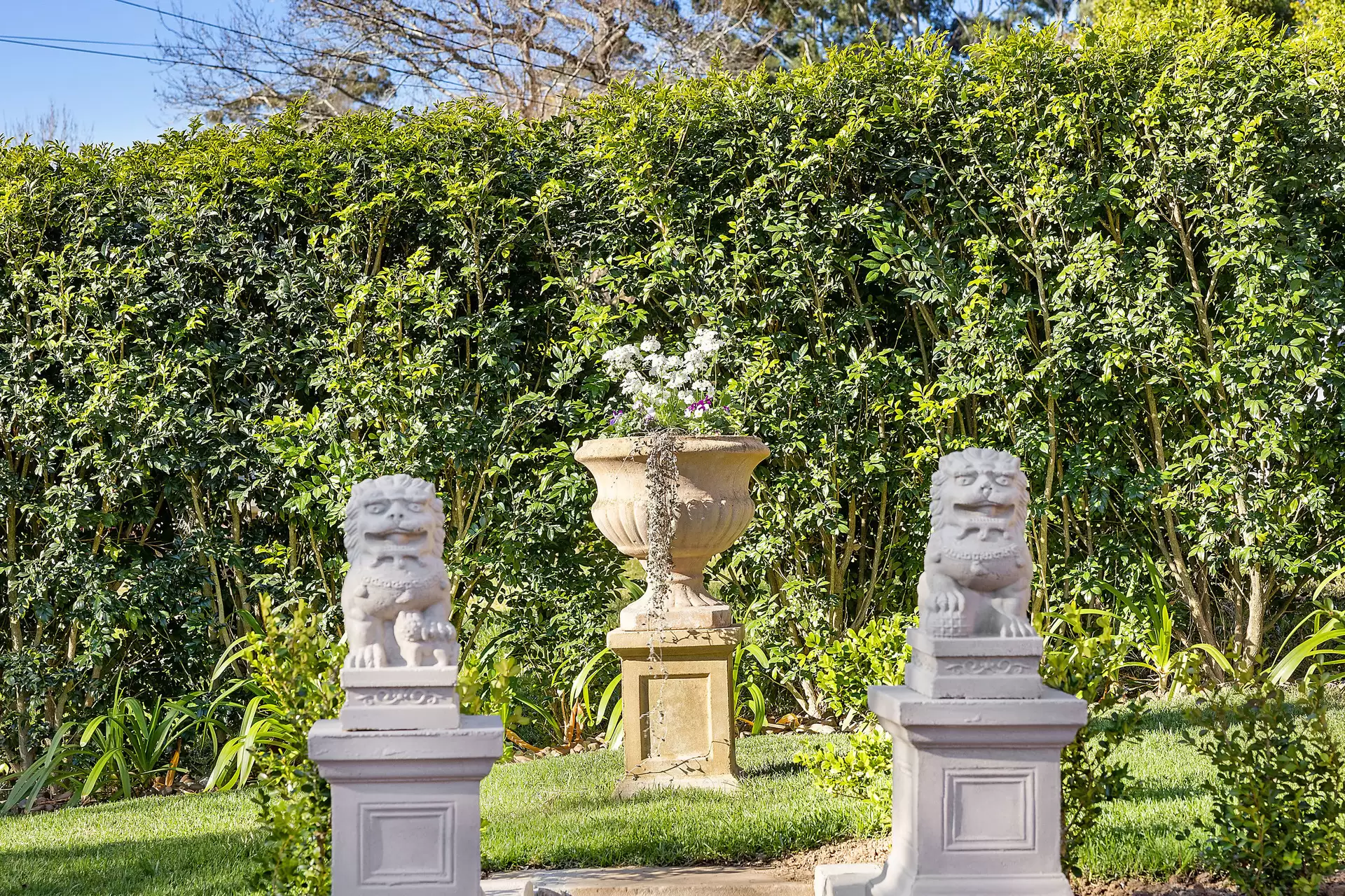 6 Kamilaroy Road, West Pymble Sold by The Marshall Group - image 5