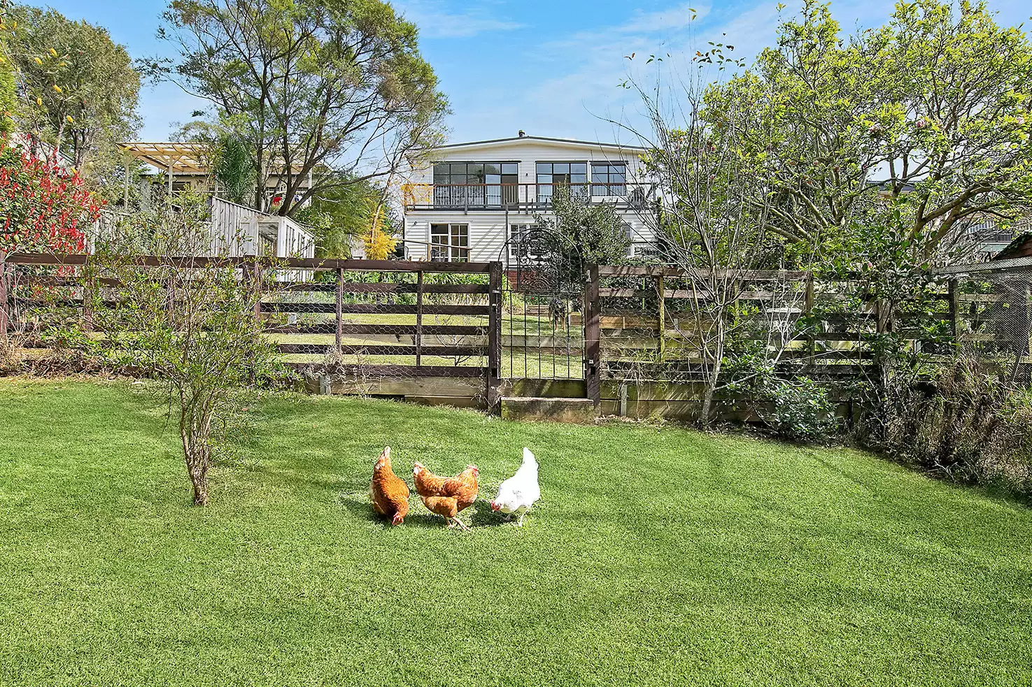 39 Kulgoa Road, Pymble Sold by The Marshall Group - image 12