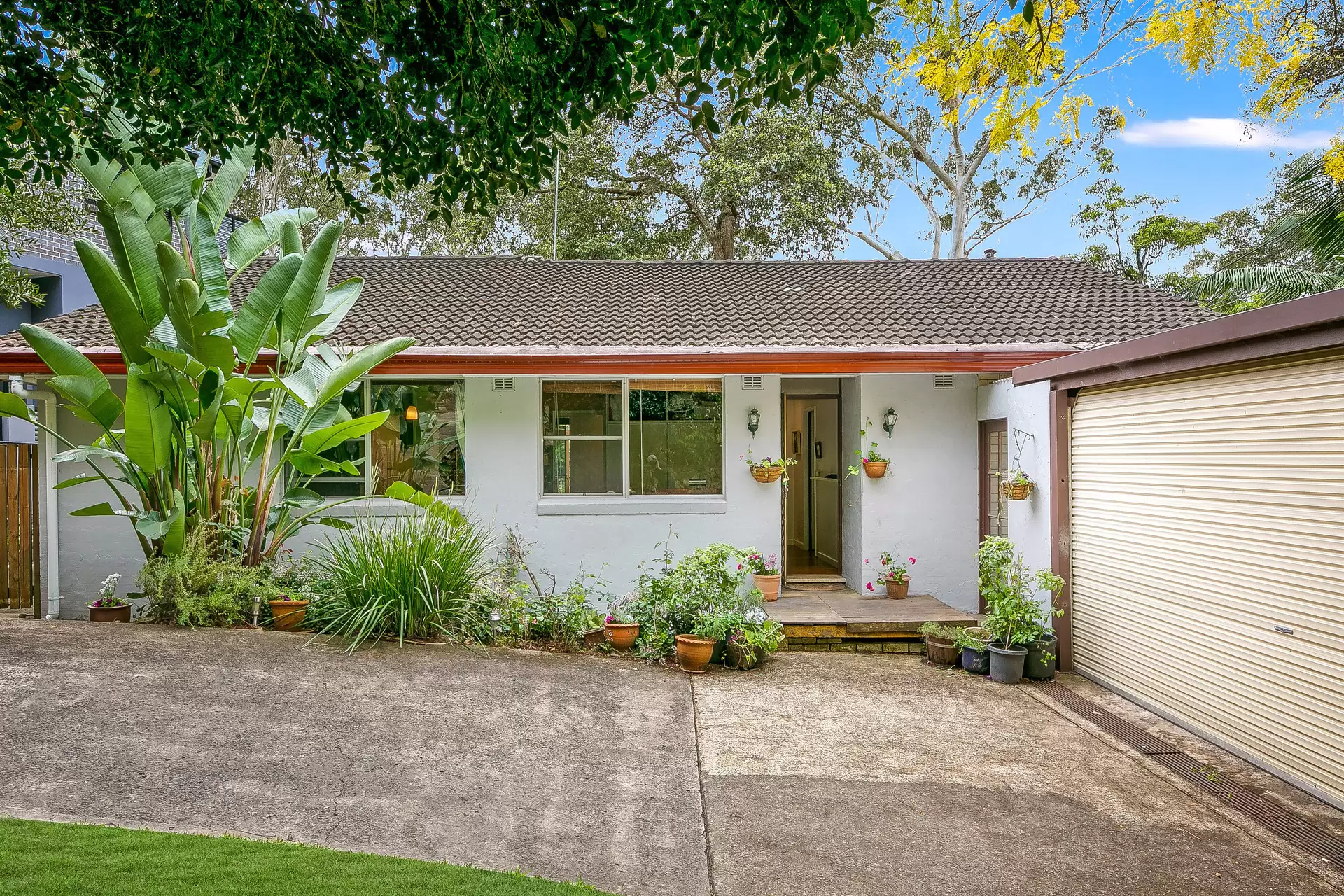 30 Elgin Street, Gordon Sold by The Marshall Group - image 2