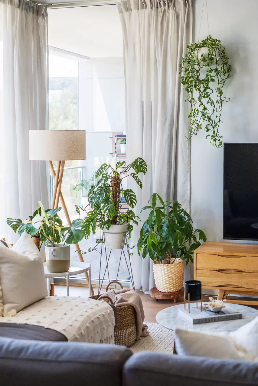 604/77 Ridge Street, Gordon Sold by The Marshall Group - image 12