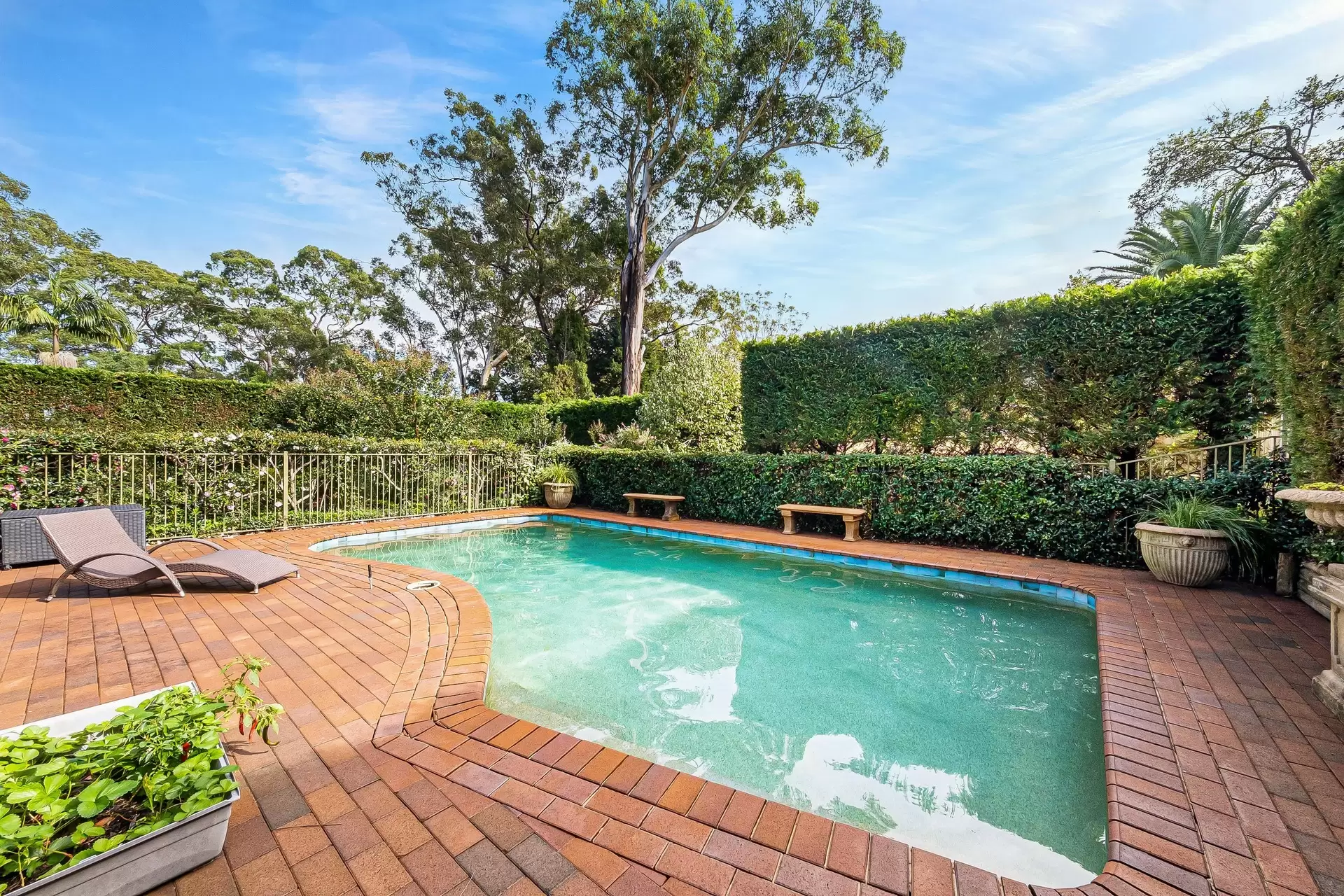 55 St Johns Avenue, Gordon Sold by The Marshall Group - image 27