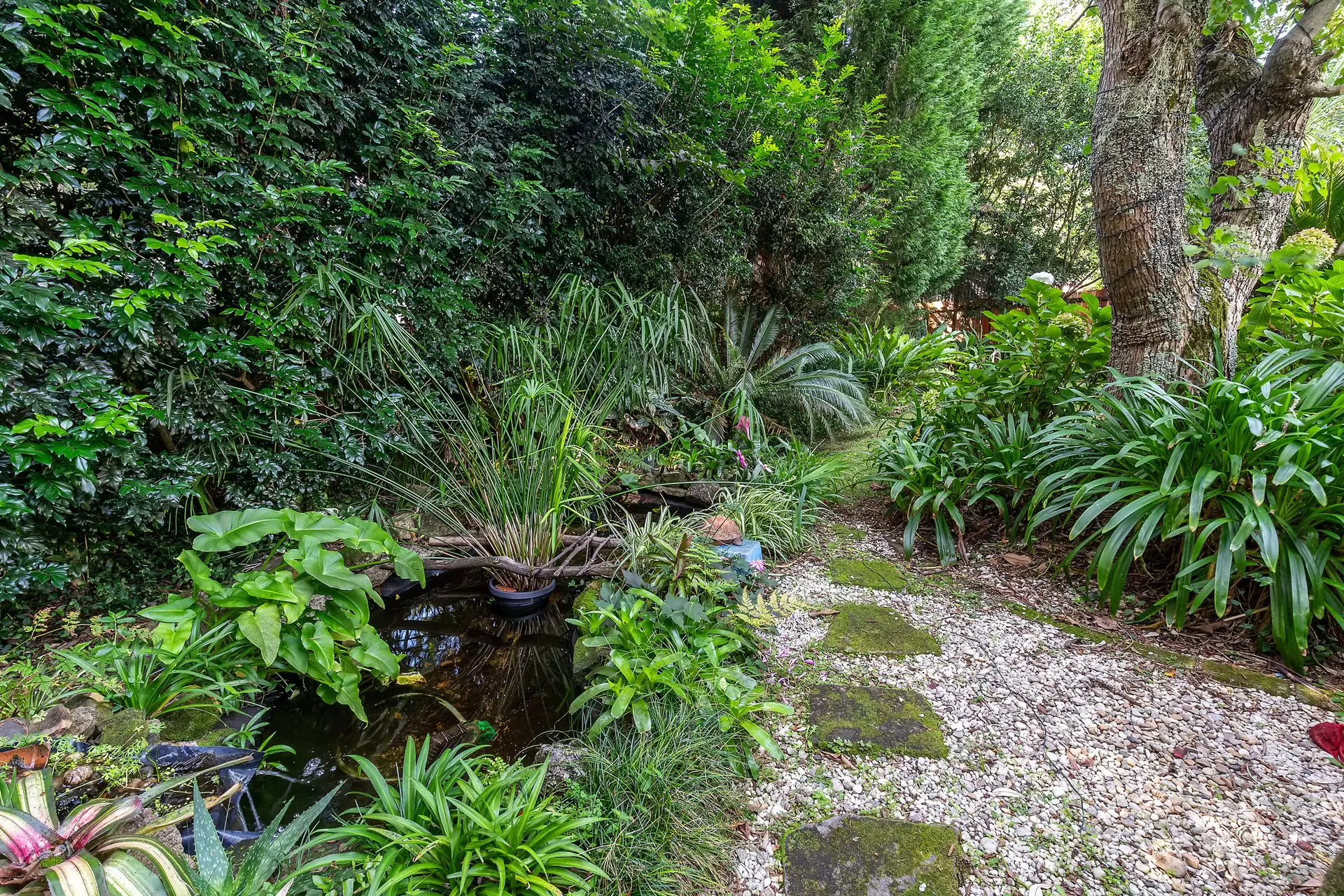 20 Mount William Street, Gordon Sold by The Marshall Group - image 14