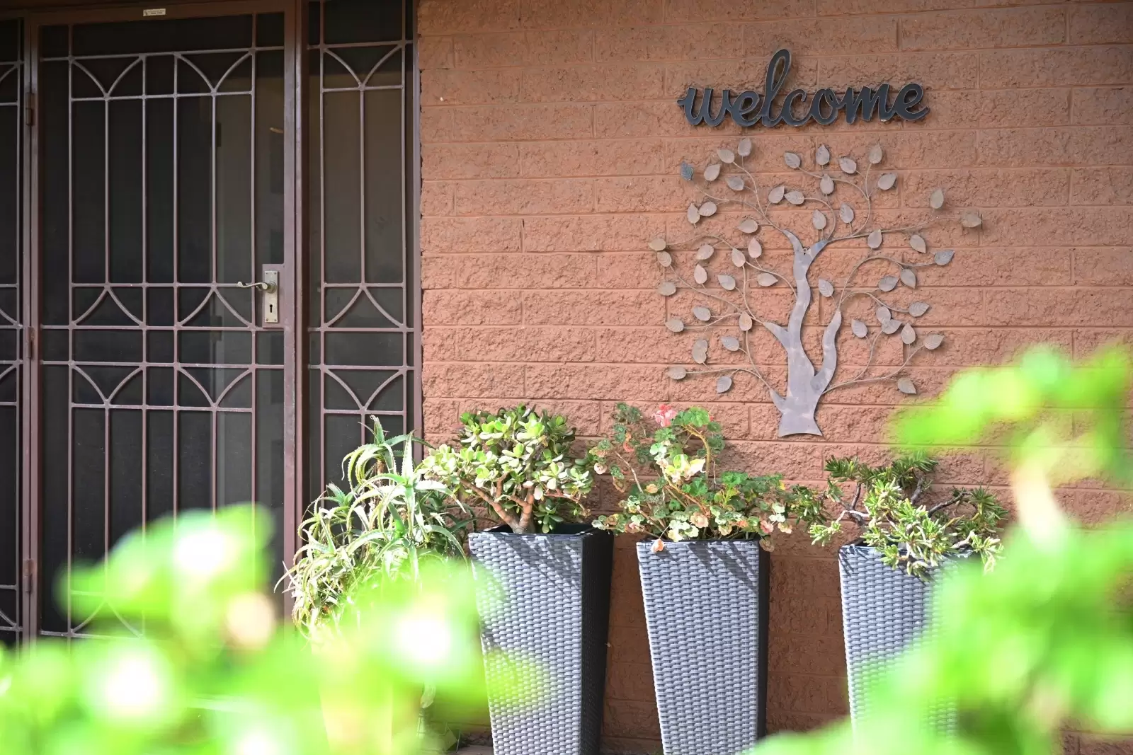 5 Tambu Street, St Ives Sold by The Marshall Group - image 2