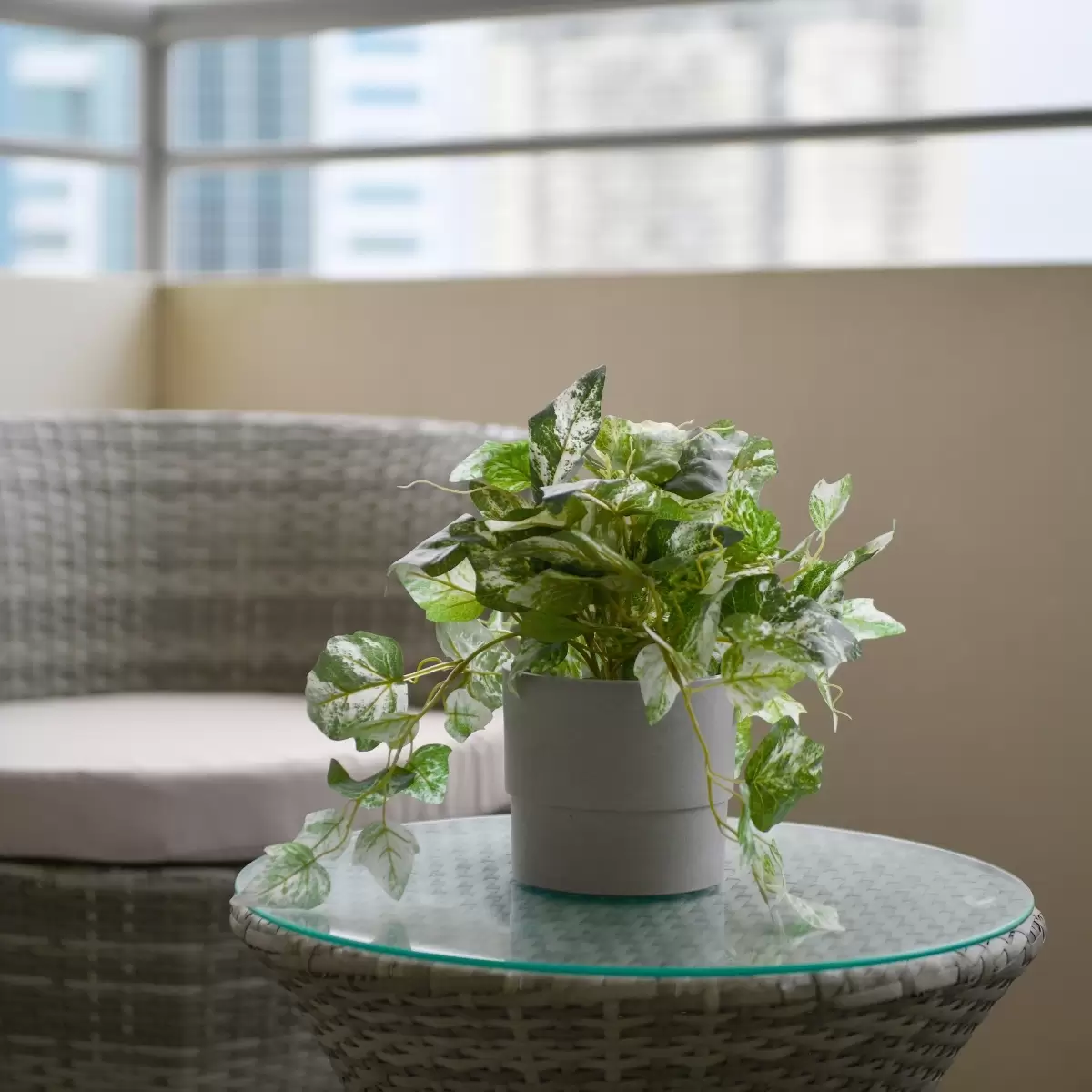 193/14 Brown Street, Chatswood Sold by The Marshall Group - image 13