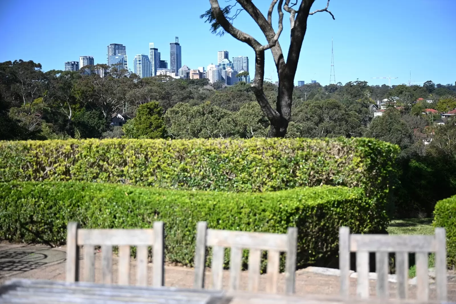 40 Eton Road, Lindfield Sold by The Marshall Group - image 14