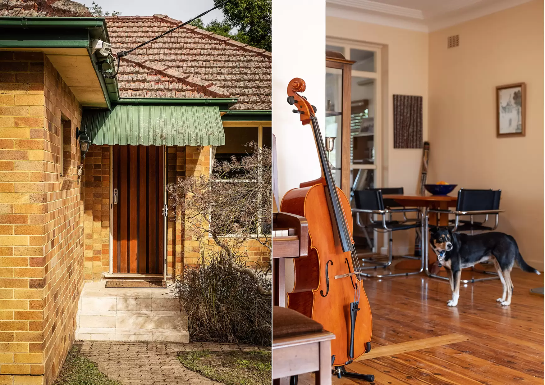 31 Darnley Street, Gordon Sold by The Marshall Group - image 9