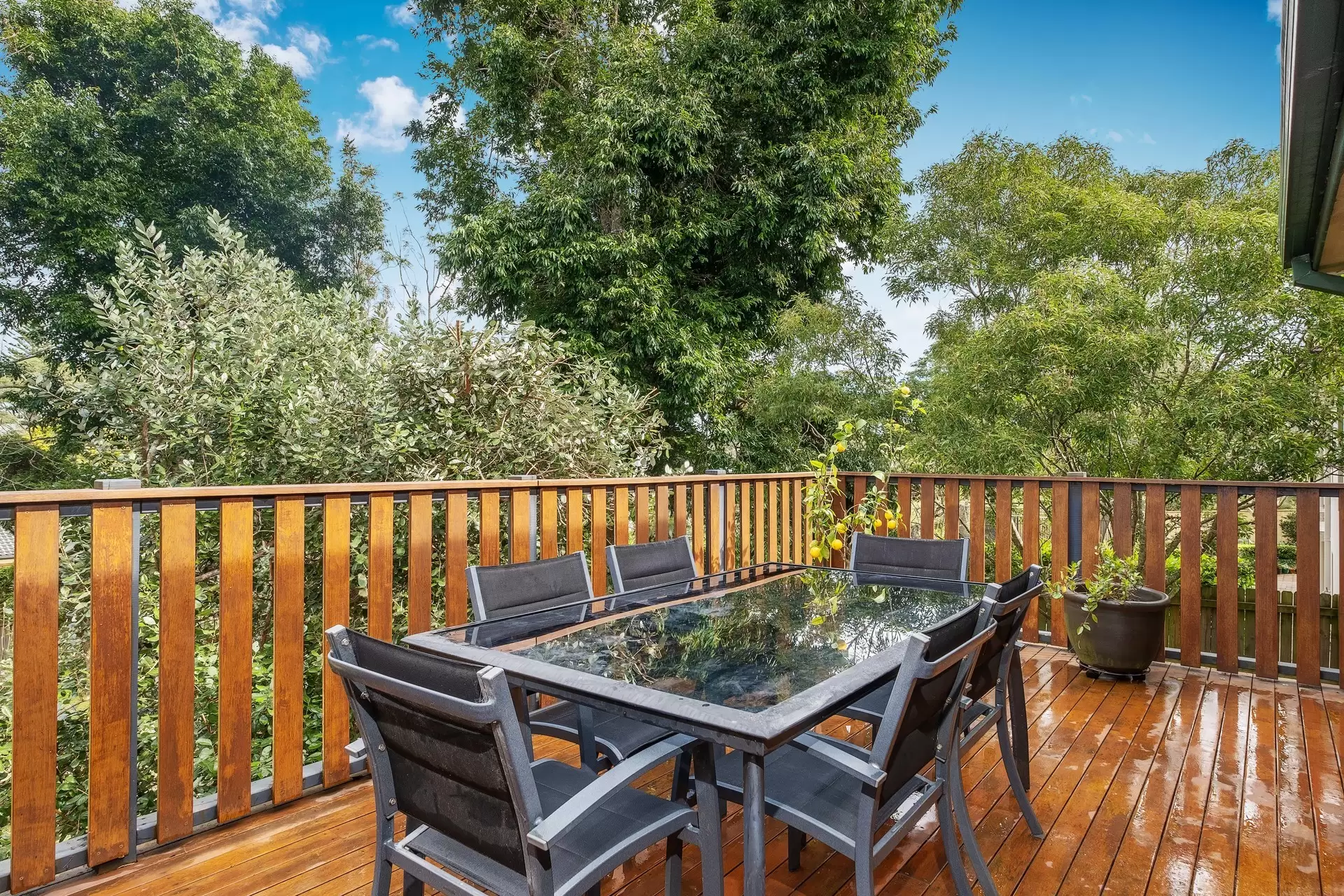 31 Darnley Street, Gordon Sold by The Marshall Group - image 4