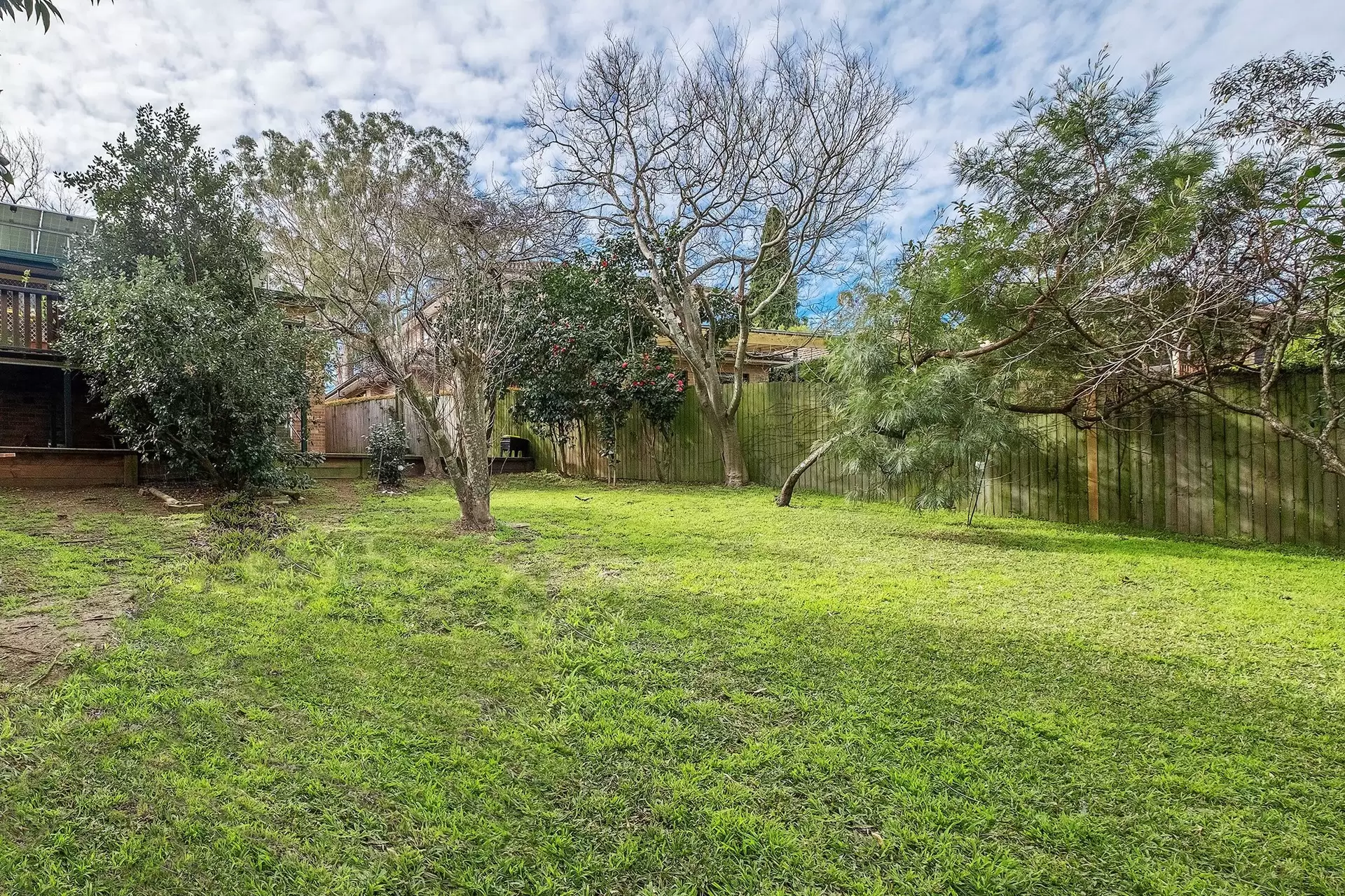 31 Darnley Street, Gordon Sold by The Marshall Group - image 6