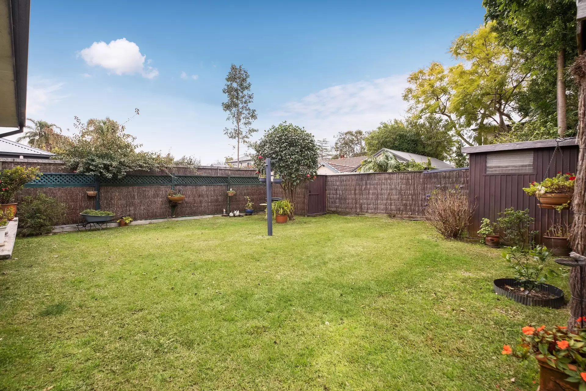 14 Carmen Street, St Ives Sold by The Marshall Group - image 4