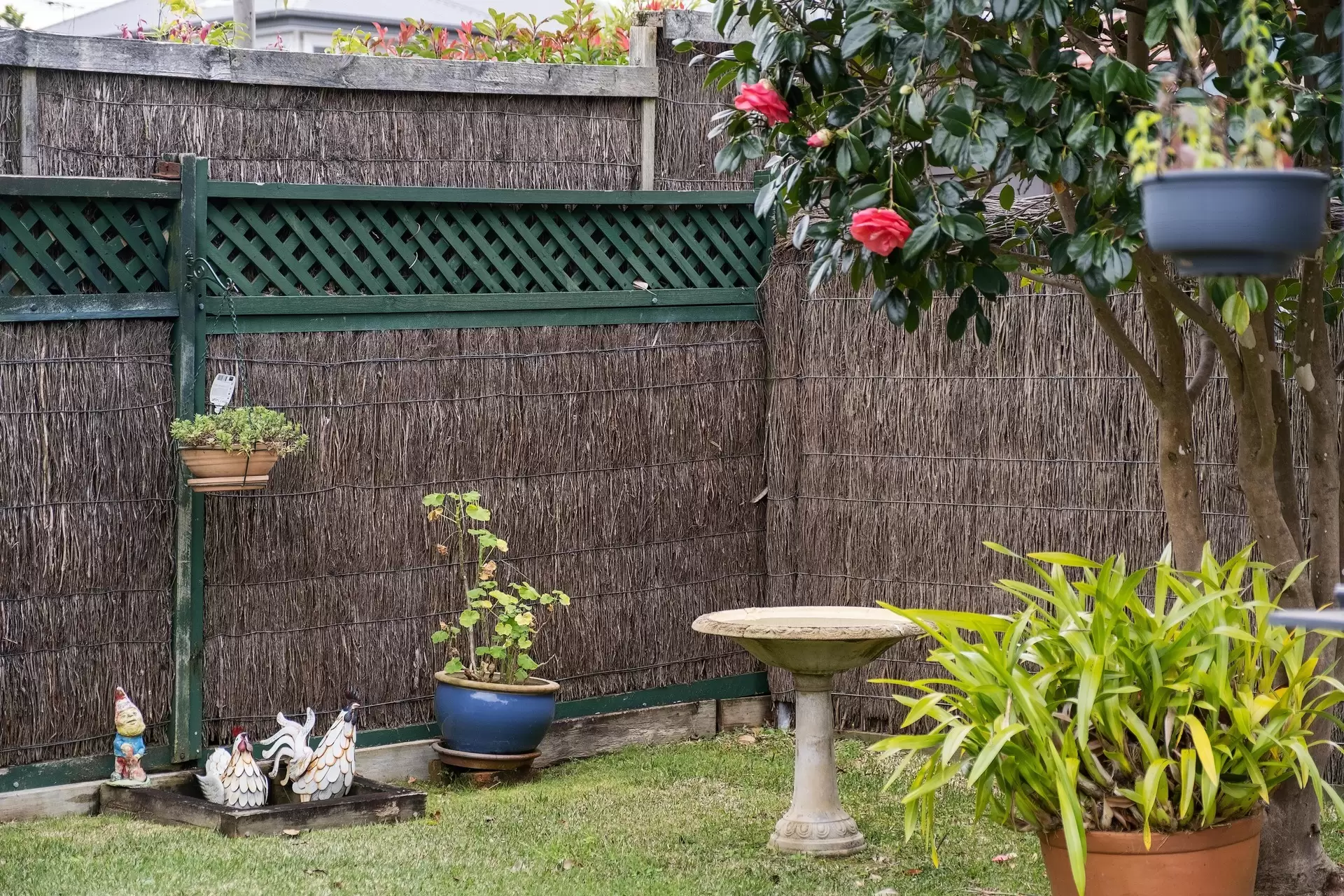 14 Carmen Street, St Ives Sold by The Marshall Group - image 13