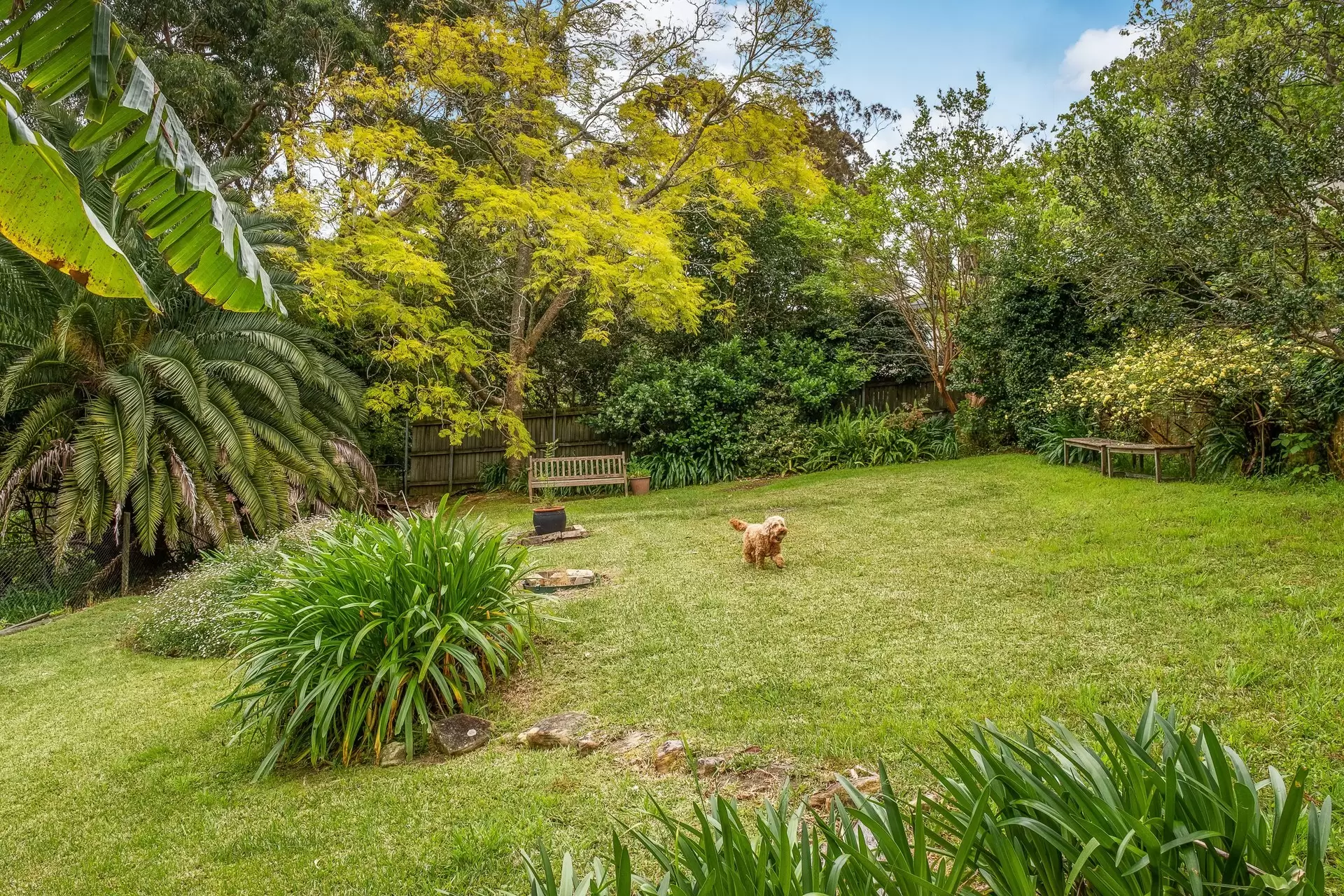 18 Banks Avenue, Turramurra Sold by The Marshall Group - image 2