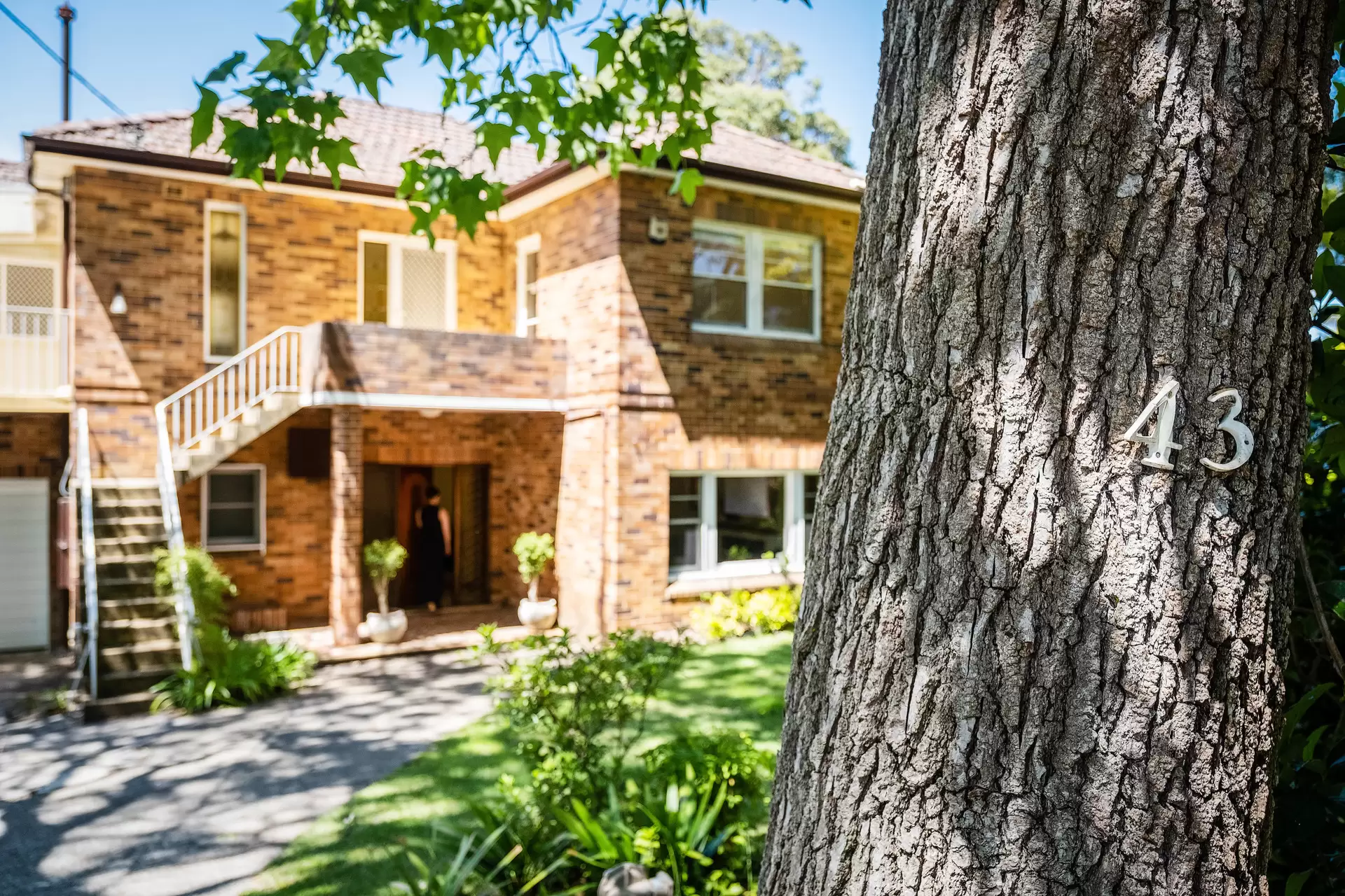 43 Vale Street, Gordon Sold by The Marshall Group - image 13