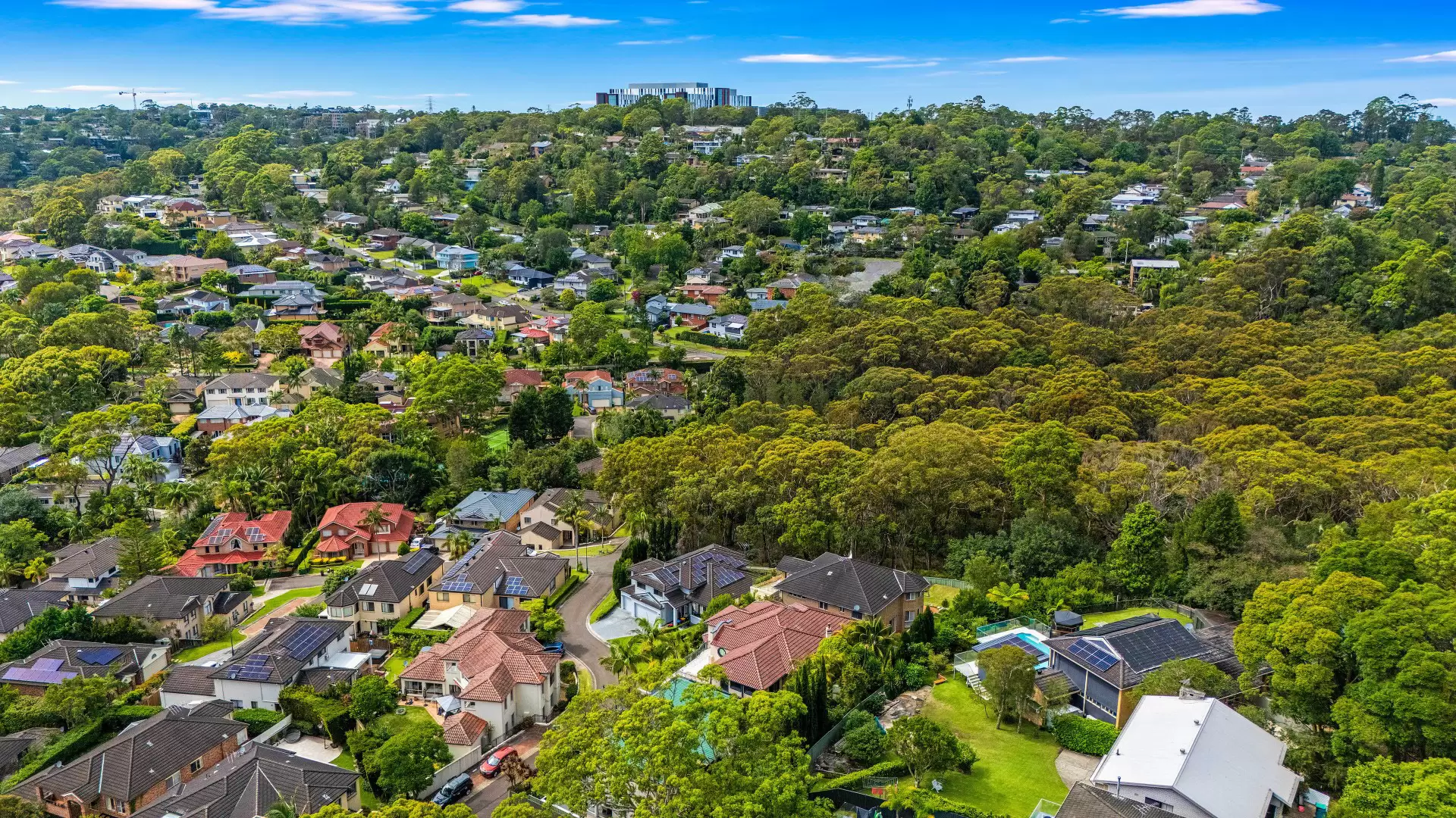 14 Tallowood Way, Frenchs Forest Sold by The Marshall Group - image 13