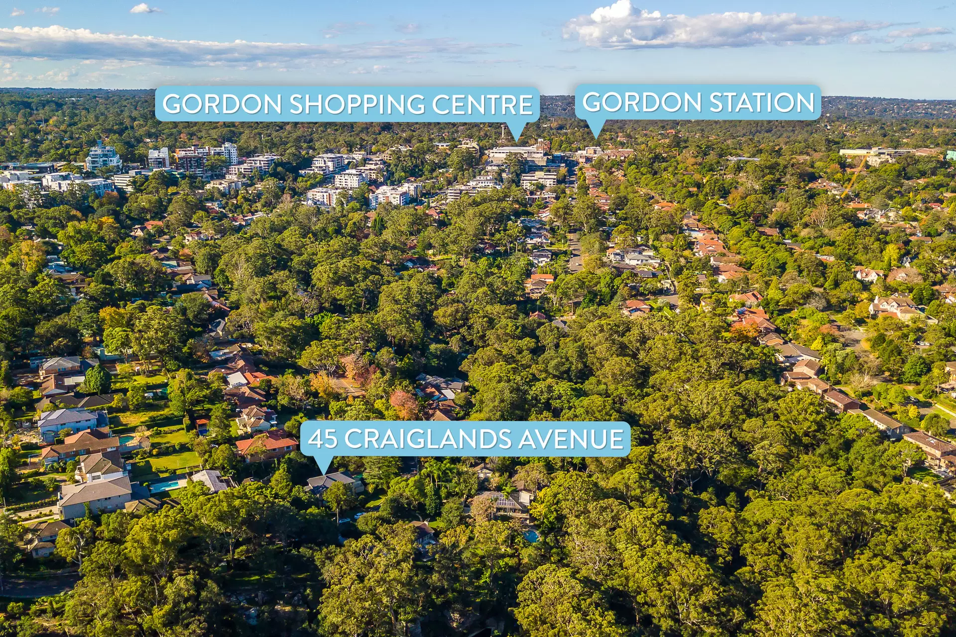 45 Craiglands Avenue, Gordon Sold by The Marshall Group - image 10