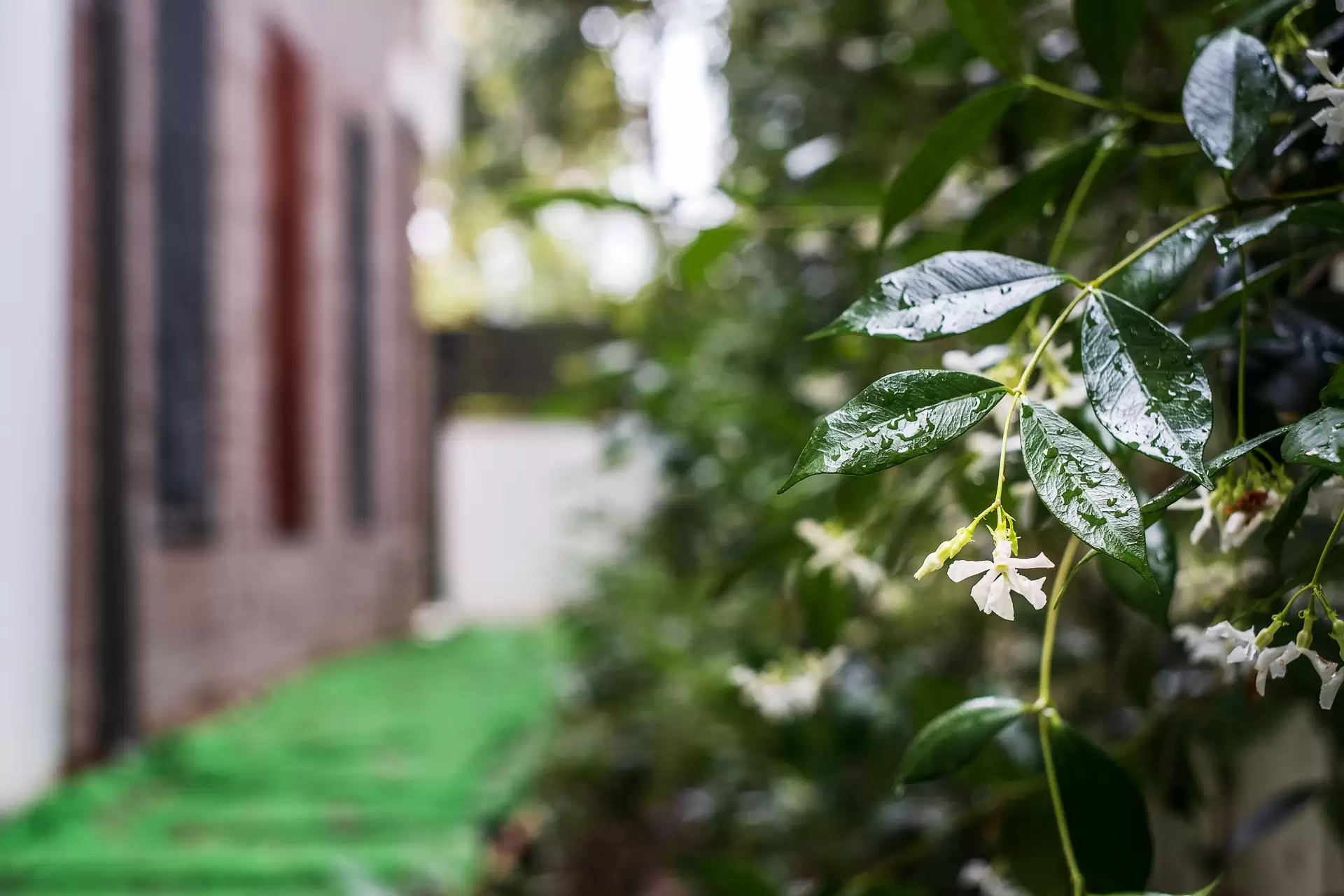 G06/2-6 Pearson Avenue, Gordon Sold by The Marshall Group - image 16