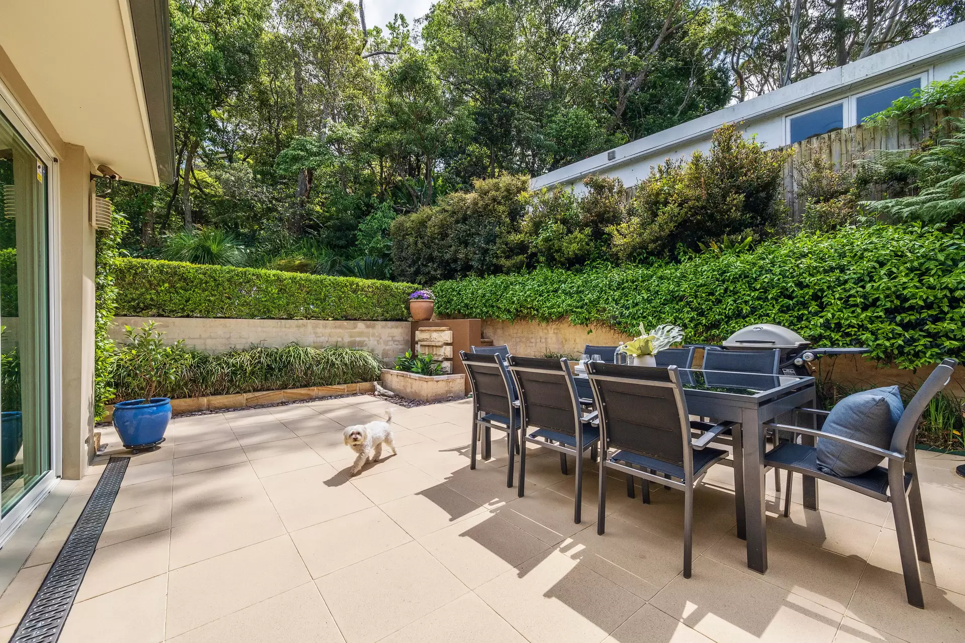 10 Illeroy Avenue, Killara Sold by The Marshall Group - image 5