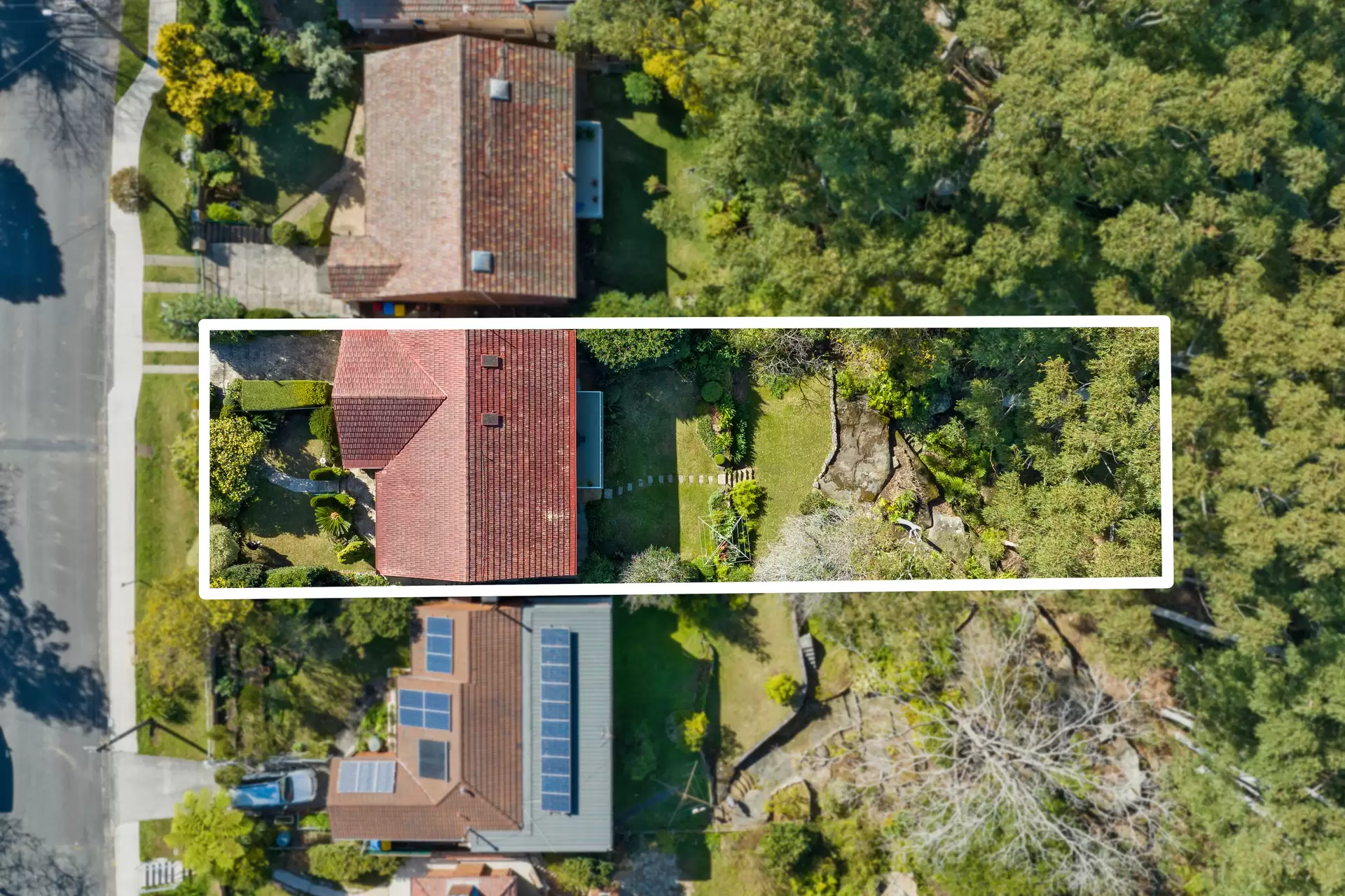 50 Abingdon Road, Roseville Sold by The Marshall Group - image 11