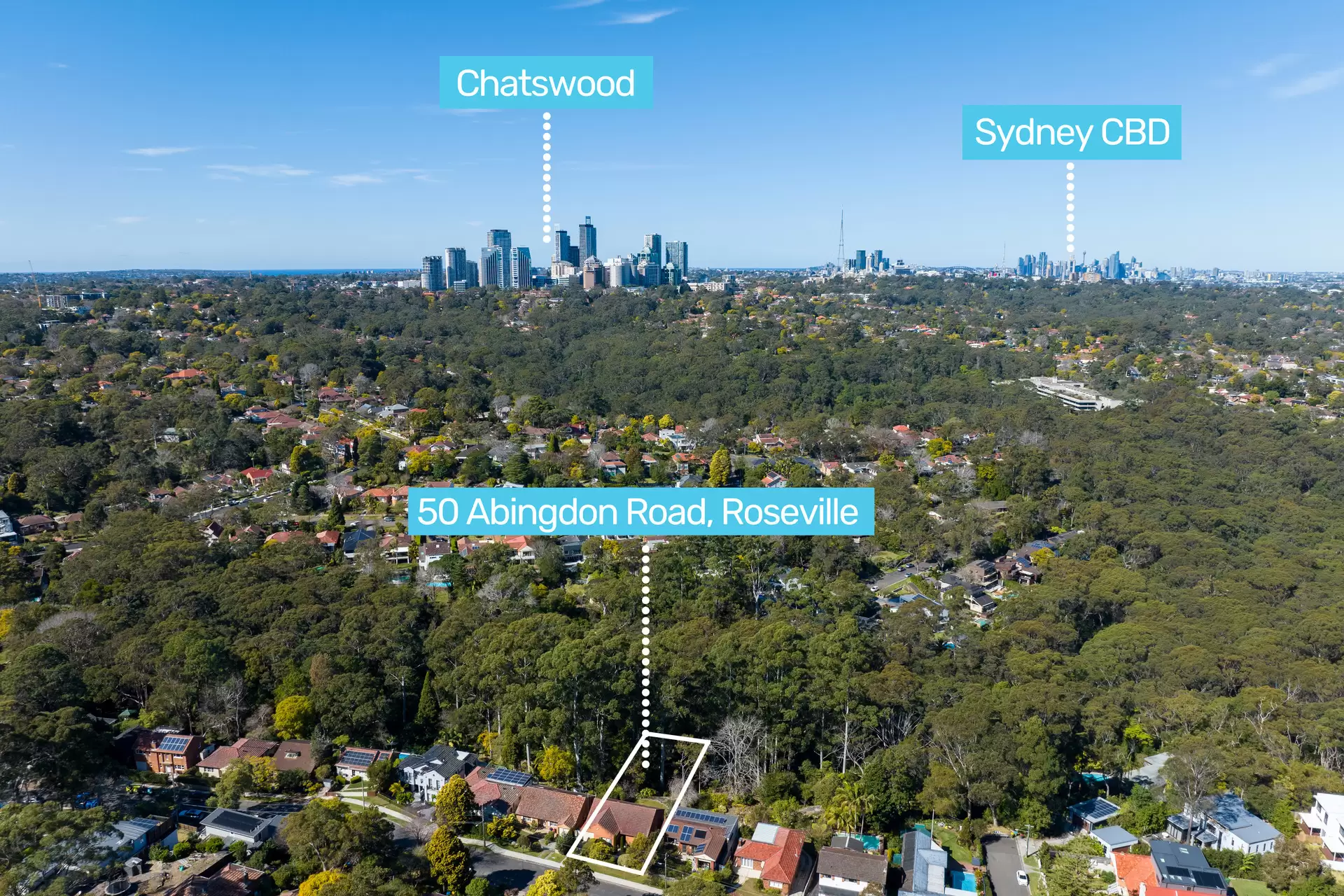 50 Abingdon Road, Roseville Sold by The Marshall Group - image 13