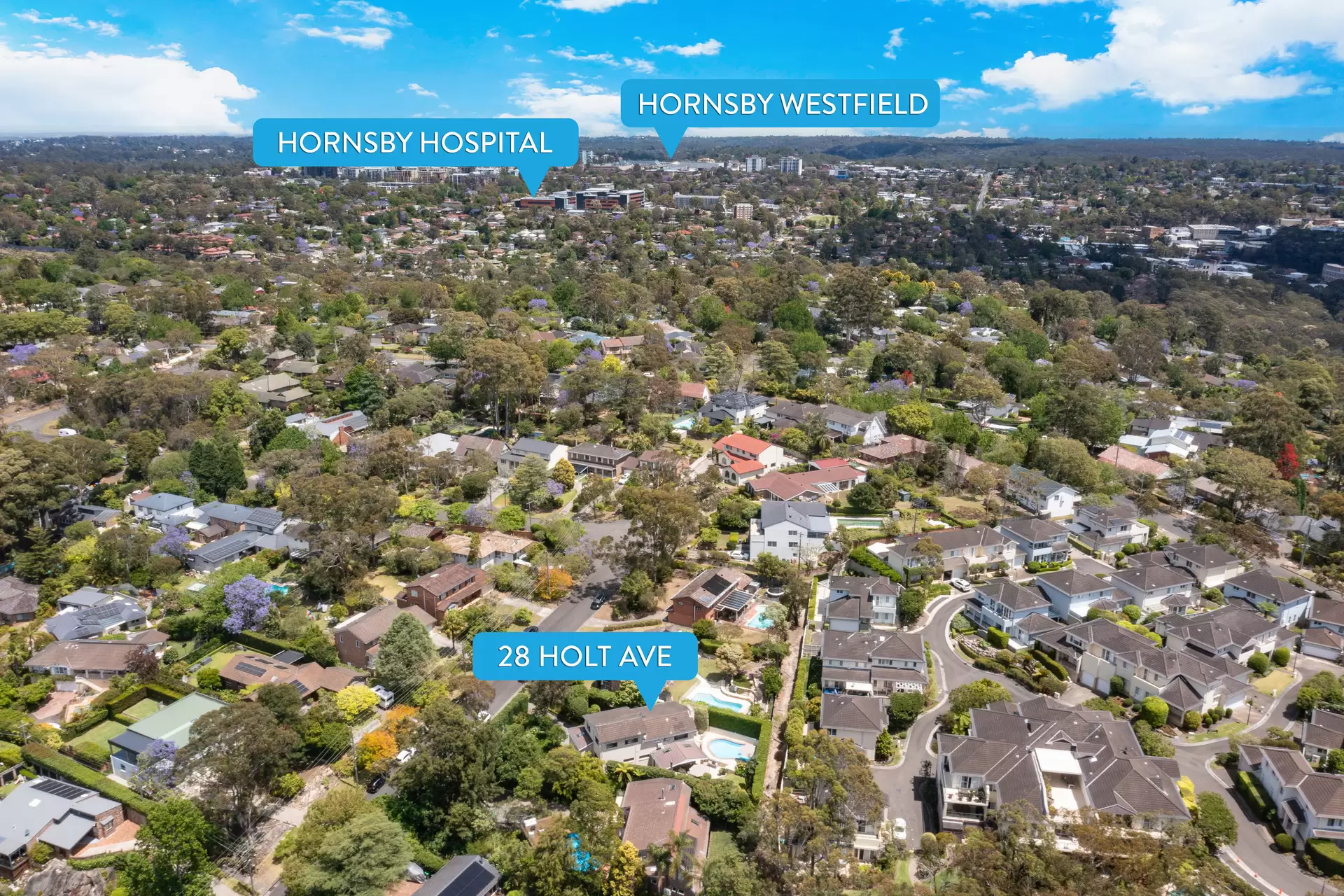 28 Holt Avenue, Wahroonga Sold by The Marshall Group - image 20