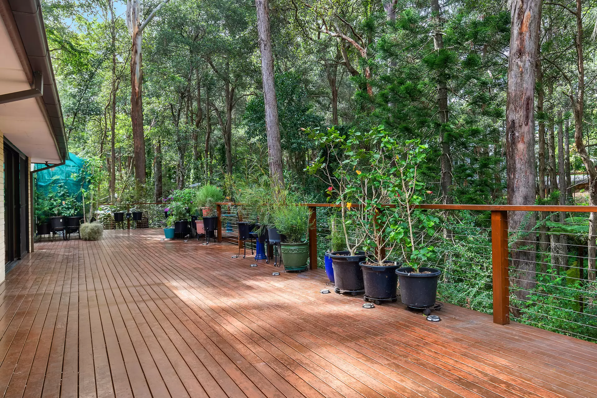 79 Rosedale Road, Pymble Sold by The Marshall Group - image 8