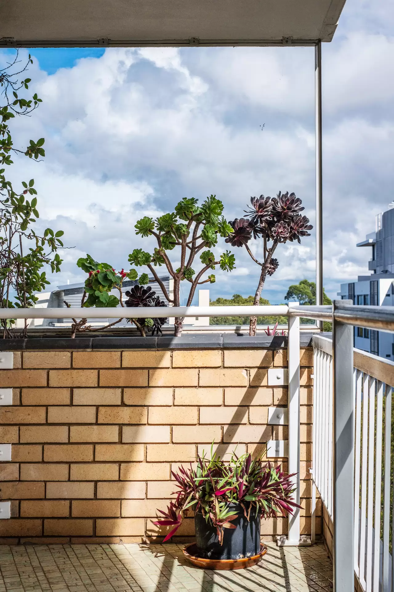 33/8-14 Ellis Street, Chatswood Sold by The Marshall Group - image 1