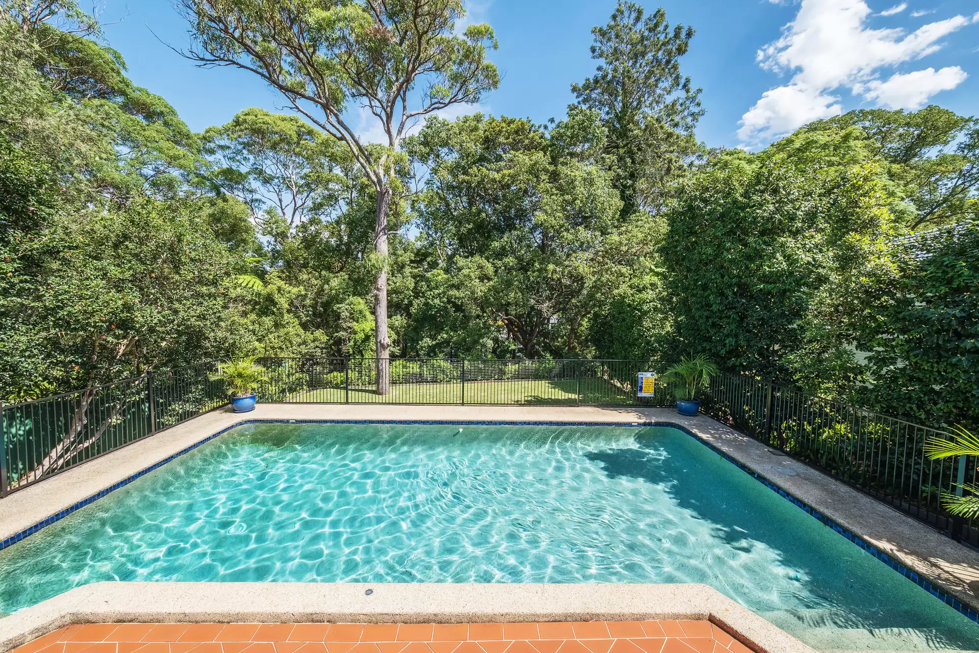 20 Valerie Avenue, Chatswood Sold by The Marshall Group - image 10