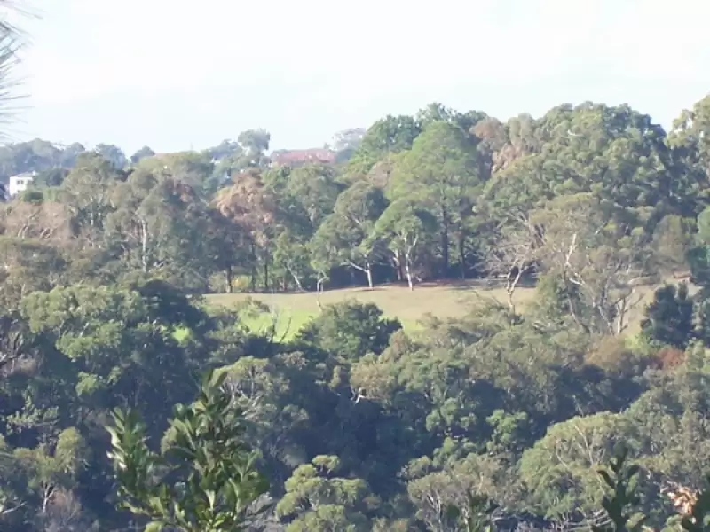 East Lindfield Sold by The Marshall Group - image 2