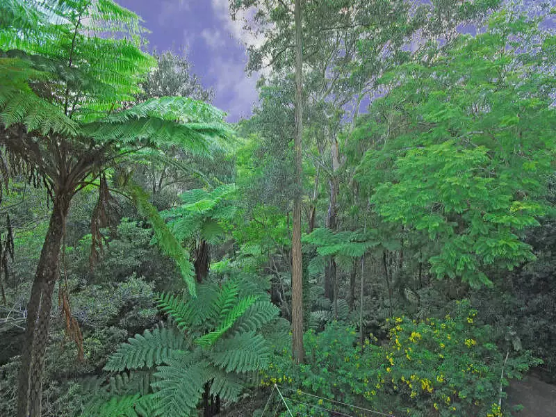 2 Minns Road, Gordon Sold by The Marshall Group - image 7