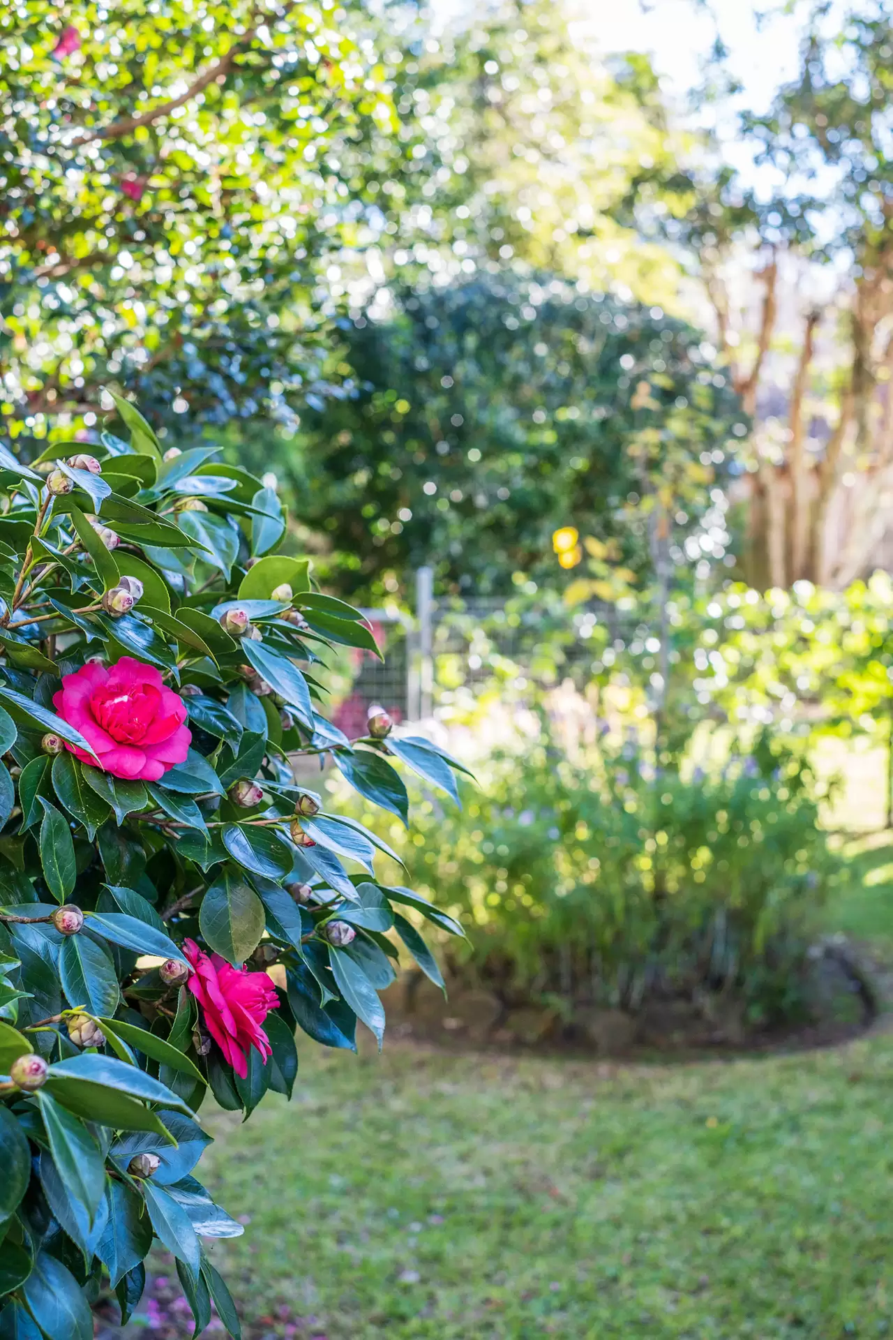 2 Wiltshire Place, Turramurra Sold by The Marshall Group - image 1