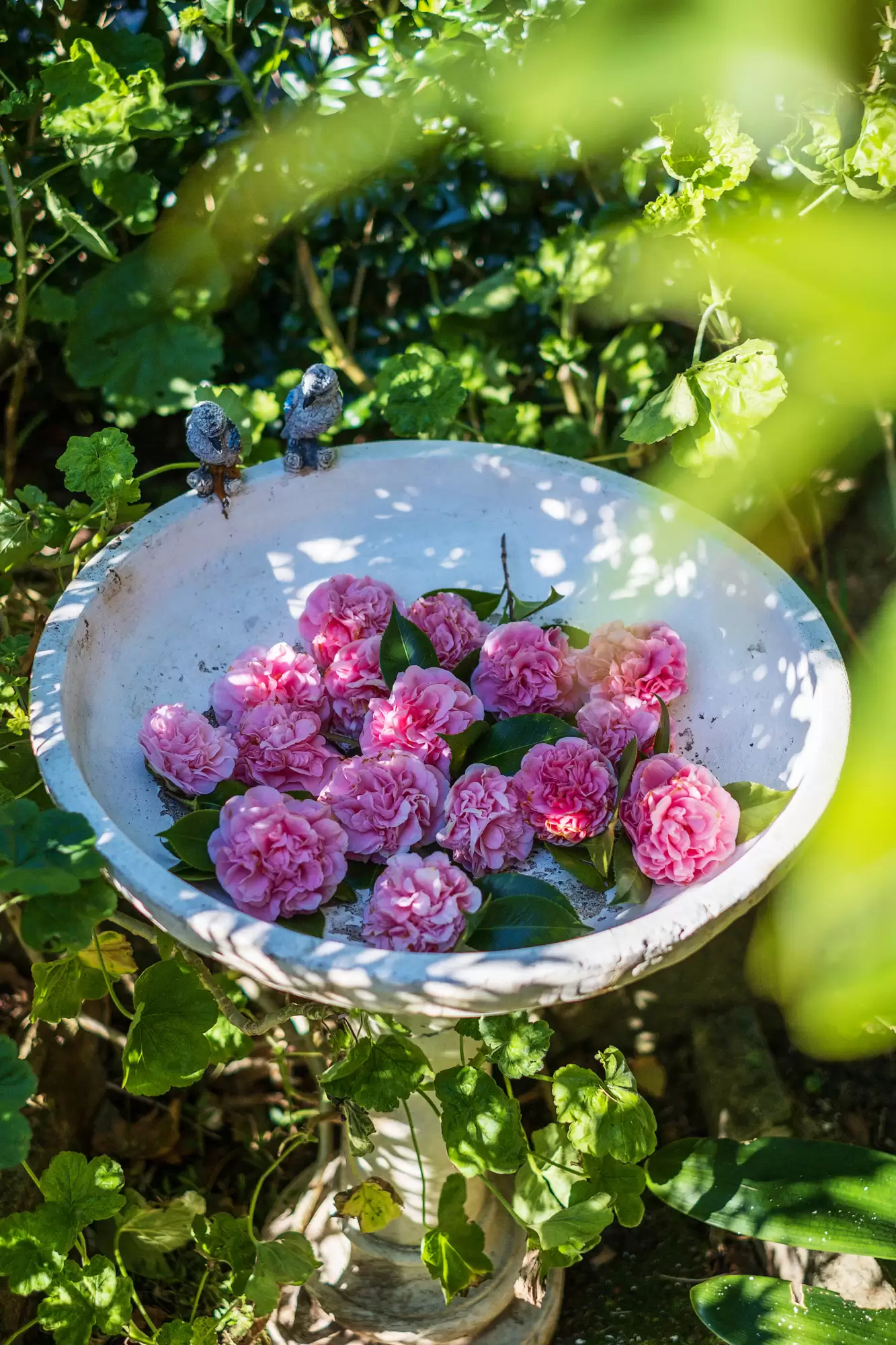 2 Wiltshire Place, Turramurra Sold by The Marshall Group - image 19