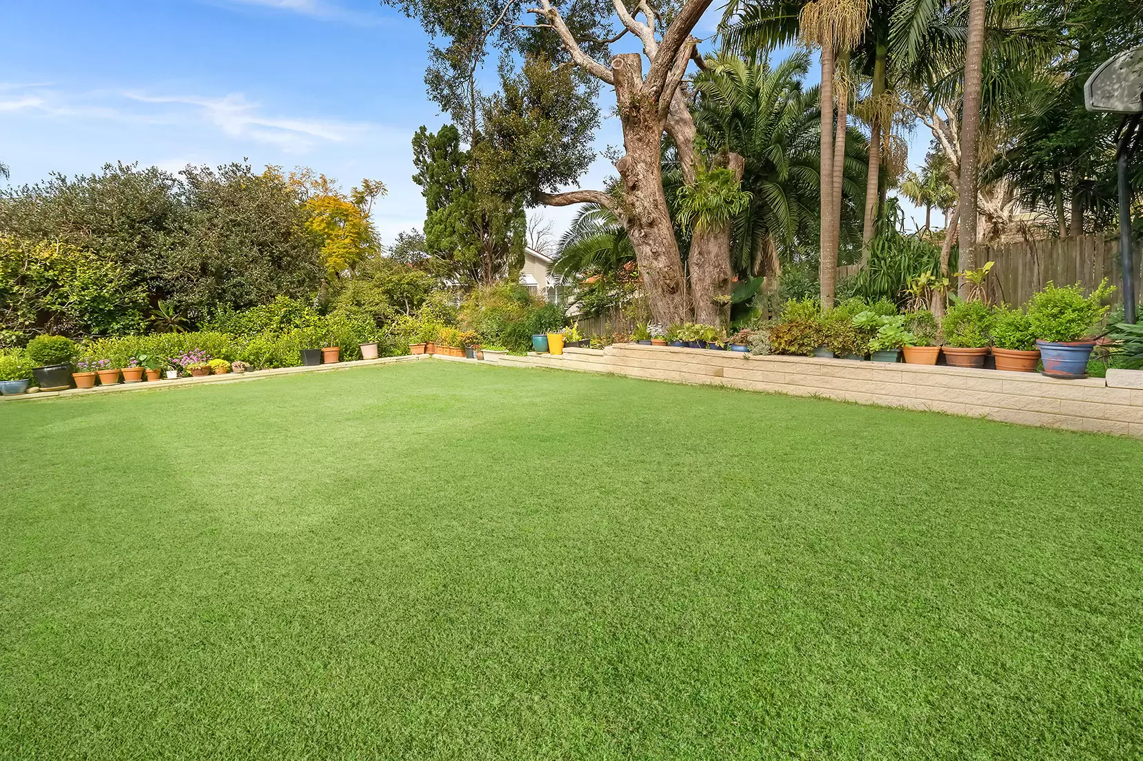 16 Clifford Street, Gordon Sold by The Marshall Group - image 5