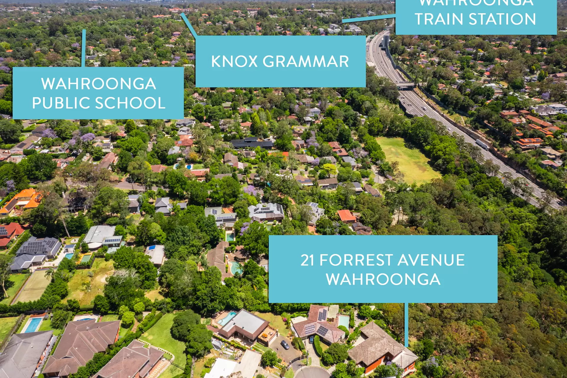 21 Forrest Avenue, Wahroonga Sold by The Marshall Group - image 11
