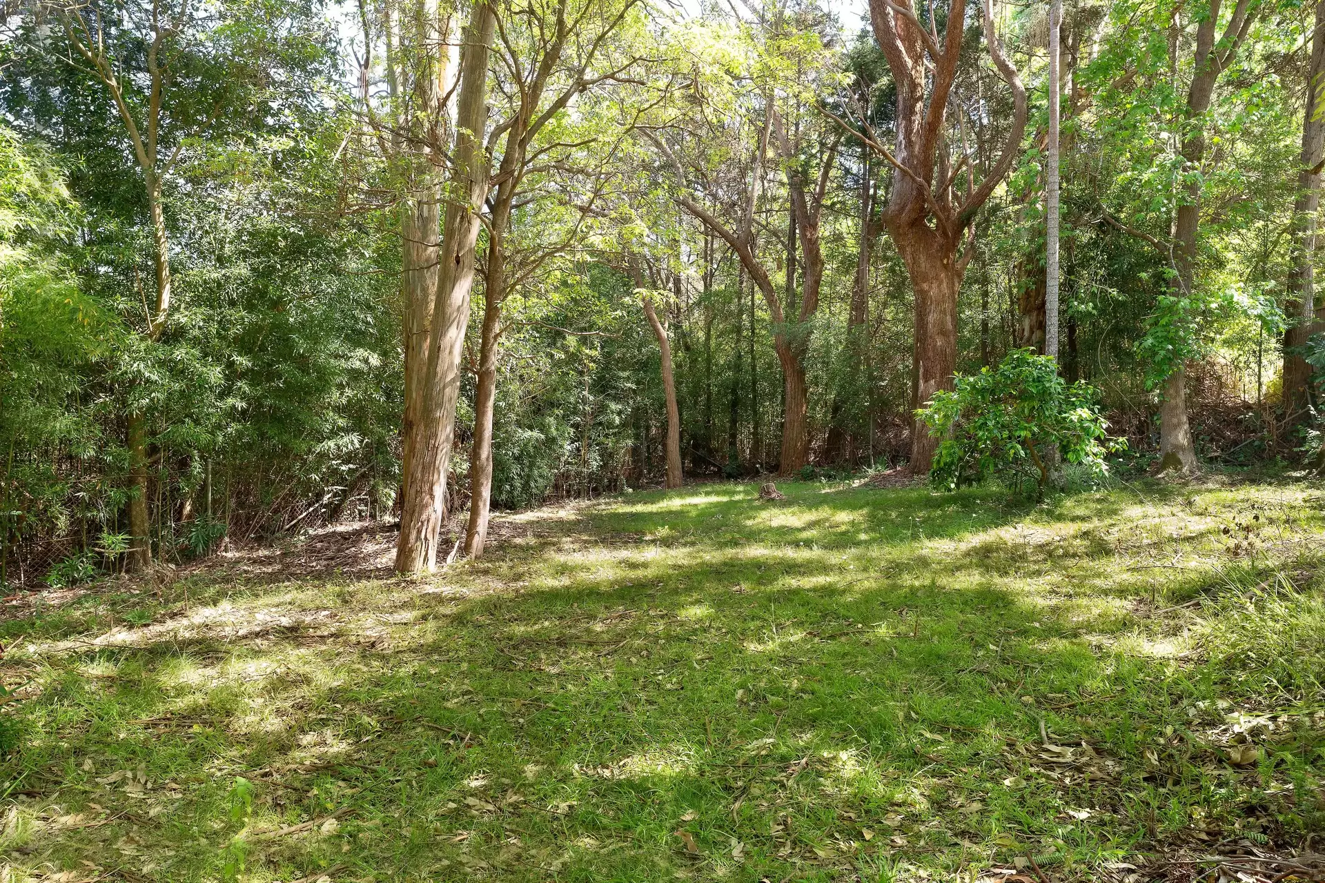 4 Warrimoo Avenue, St Ives Sold by The Marshall Group - image 4